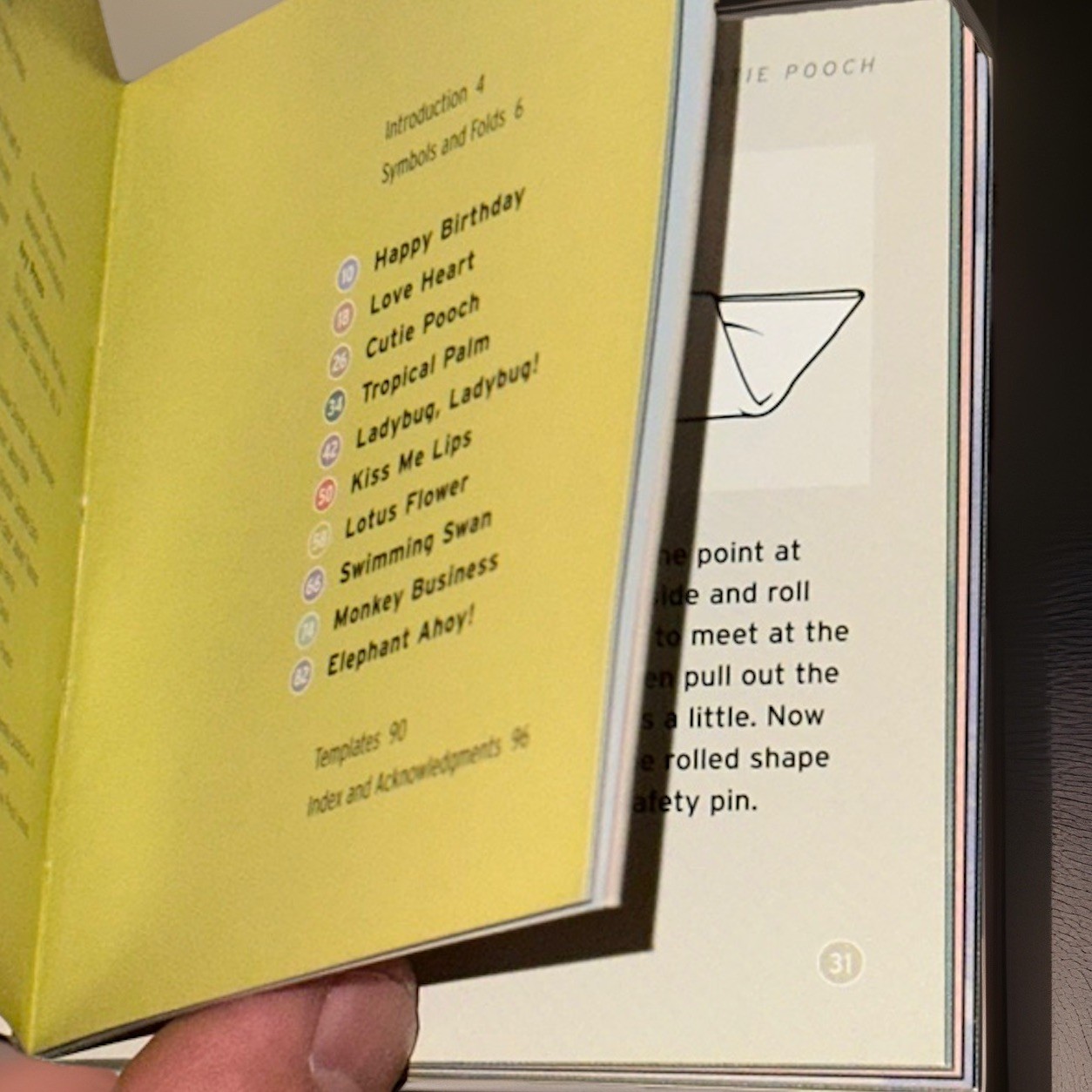 THE LITTLE BOOK OF TOWEL ORIGAMI By Alison Jenkins *Excellent Condition*