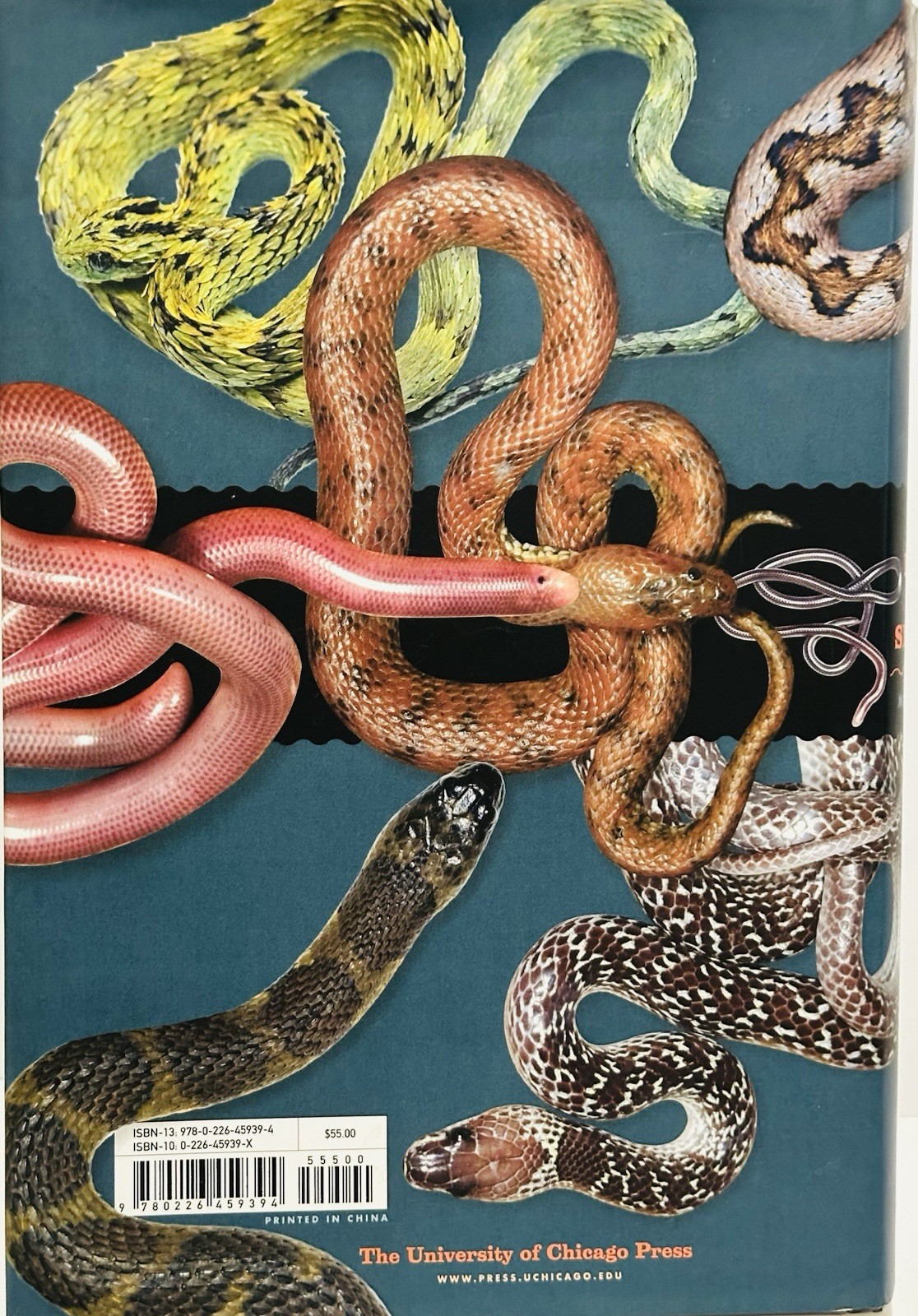 Book of Snakes: A Life-Size Guide to Six Hundred Species From Around the World