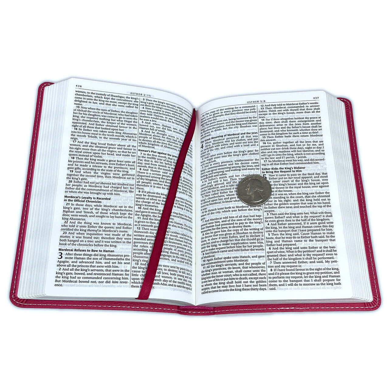 Compact Bible for Girls King James Version KJV pink leathertouch