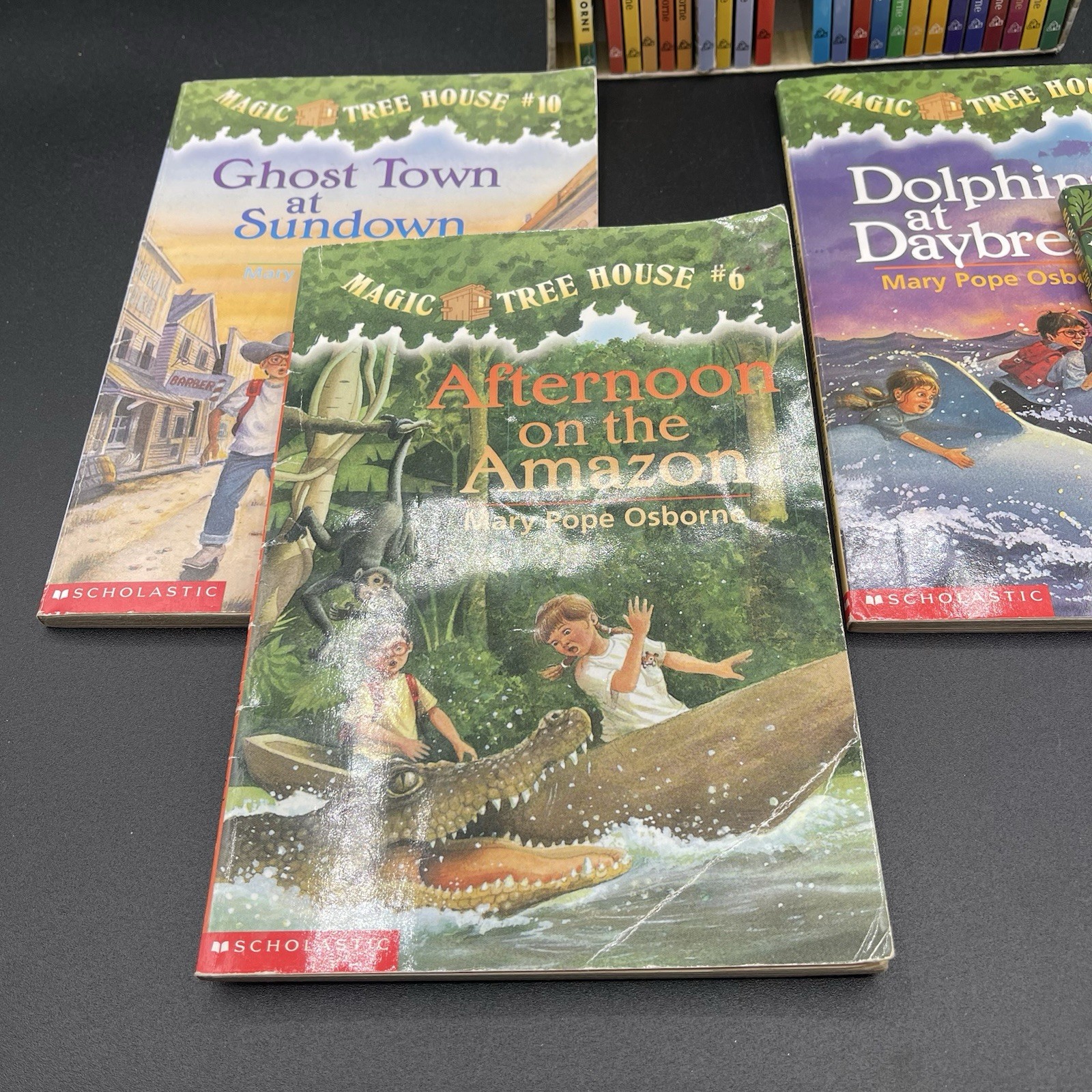 Magic Tree House Box Set – Only 25 Book Collection – Missing #2, #12, & #13