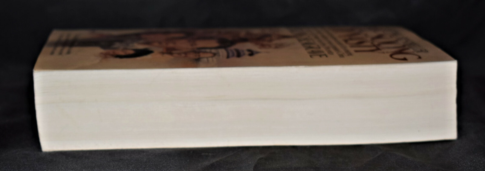 Soong Dynasty by Sterling Seagrave – c1986 pages 532 Paperback