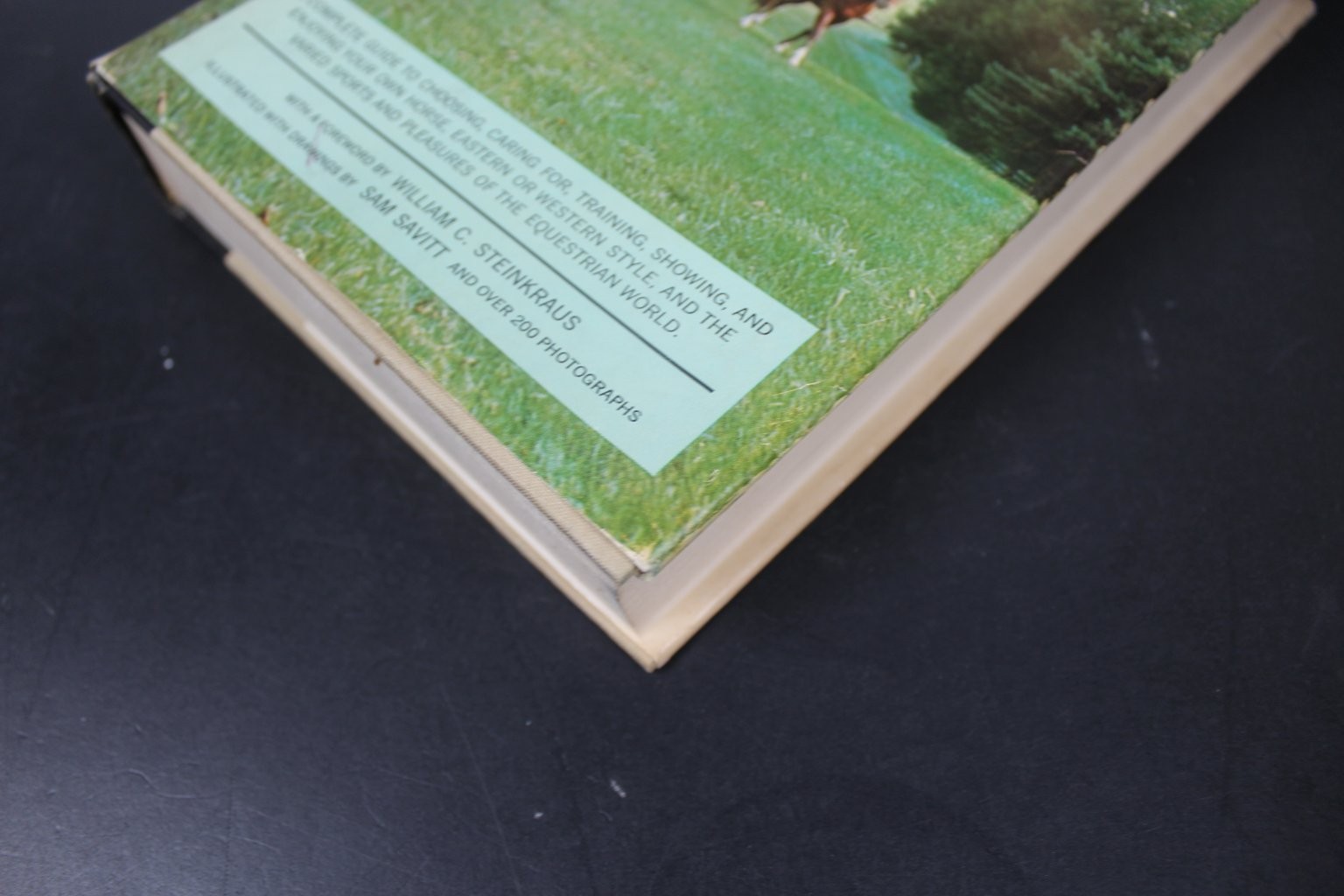 A Horse of Your Own Stoneridge 1963 First Edition Illustrated Equestrian HCDJ
