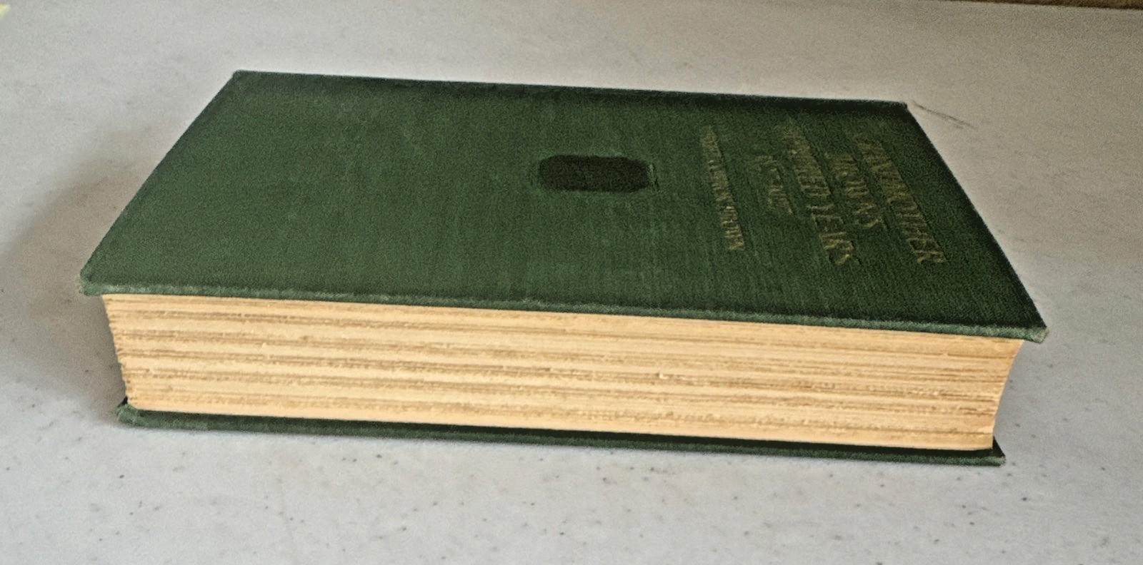 Grandmother Browns Hundred Years 1827-1927 Harriet Connor Brown 1929 Illustrated