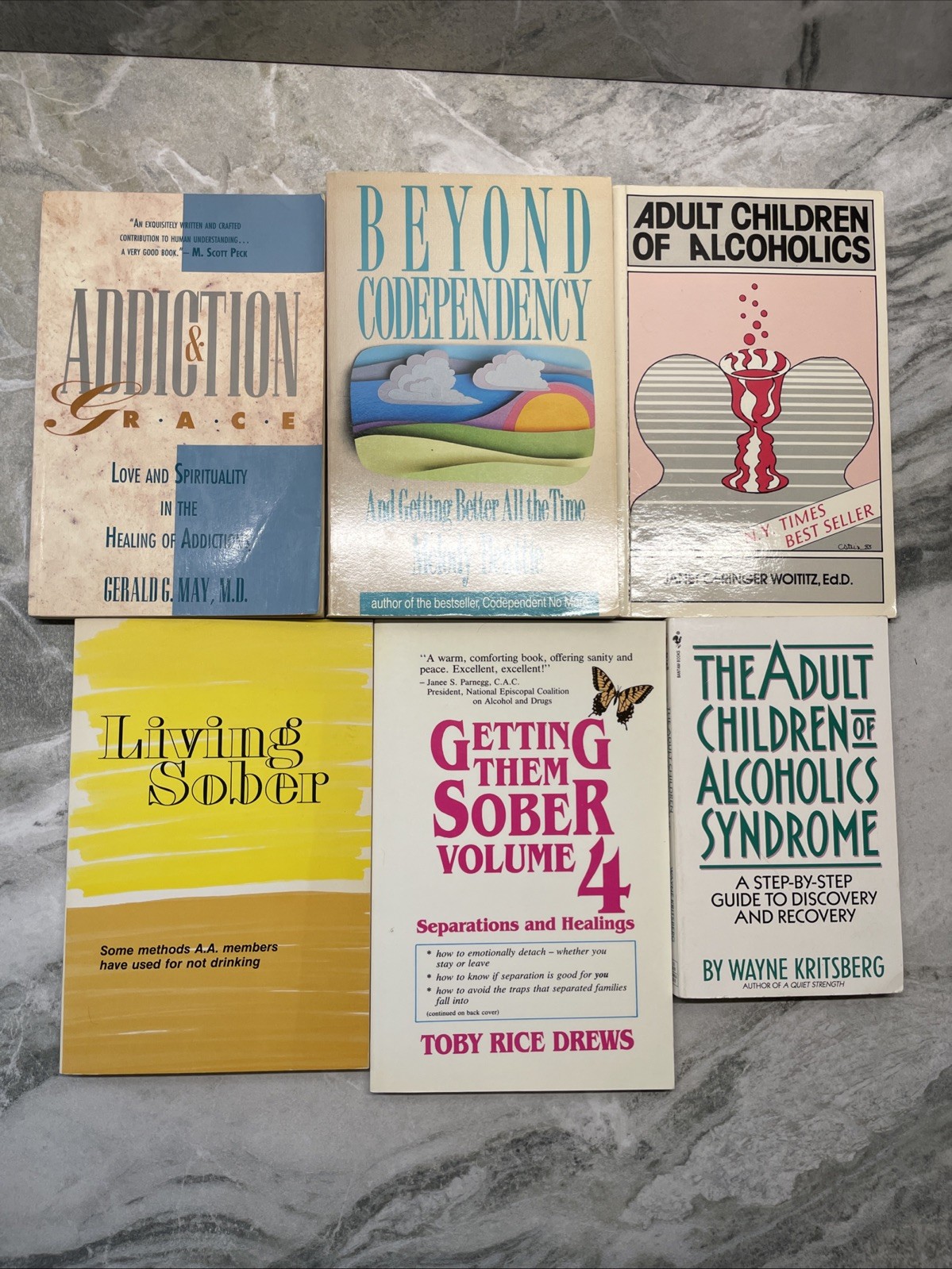 6 Books on Addiction Alcoholism Getting Sober PBK Beyond Codependency