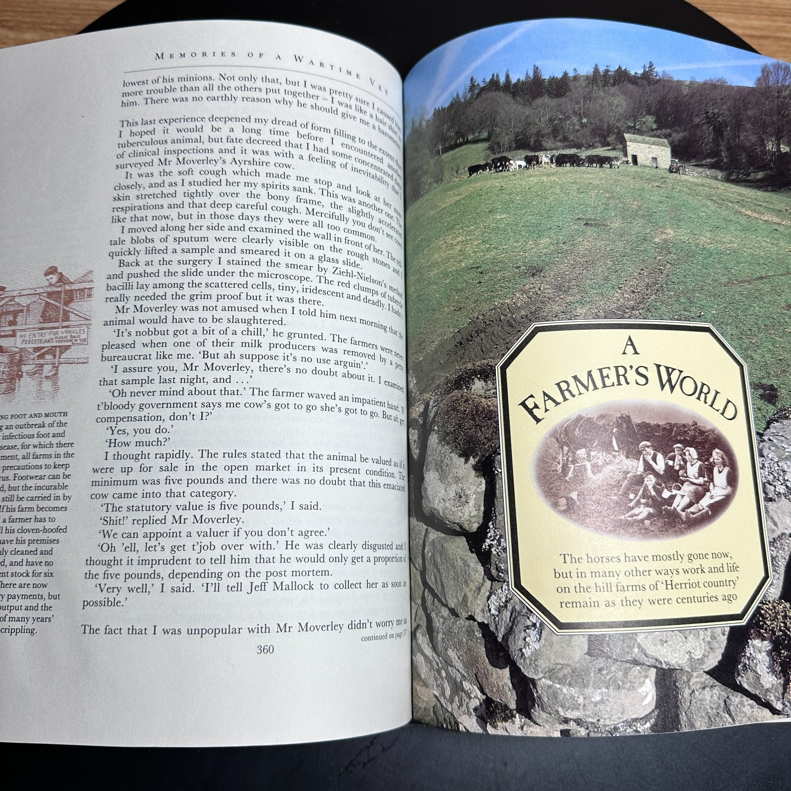 James Herriot Book 1982 Illustrated – All Things Great Biography