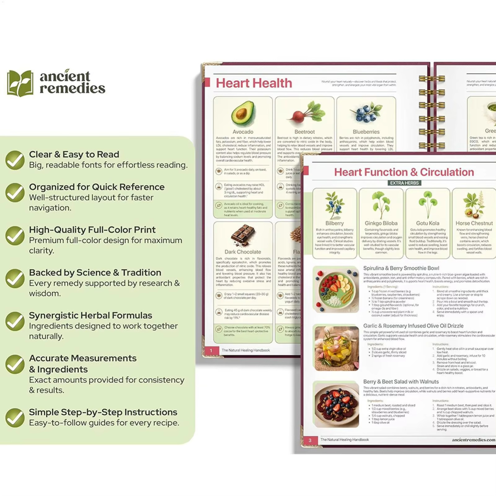 The Natural Healing Handbook, Spiral-Bound Guide for Herbal Remedies and Natural