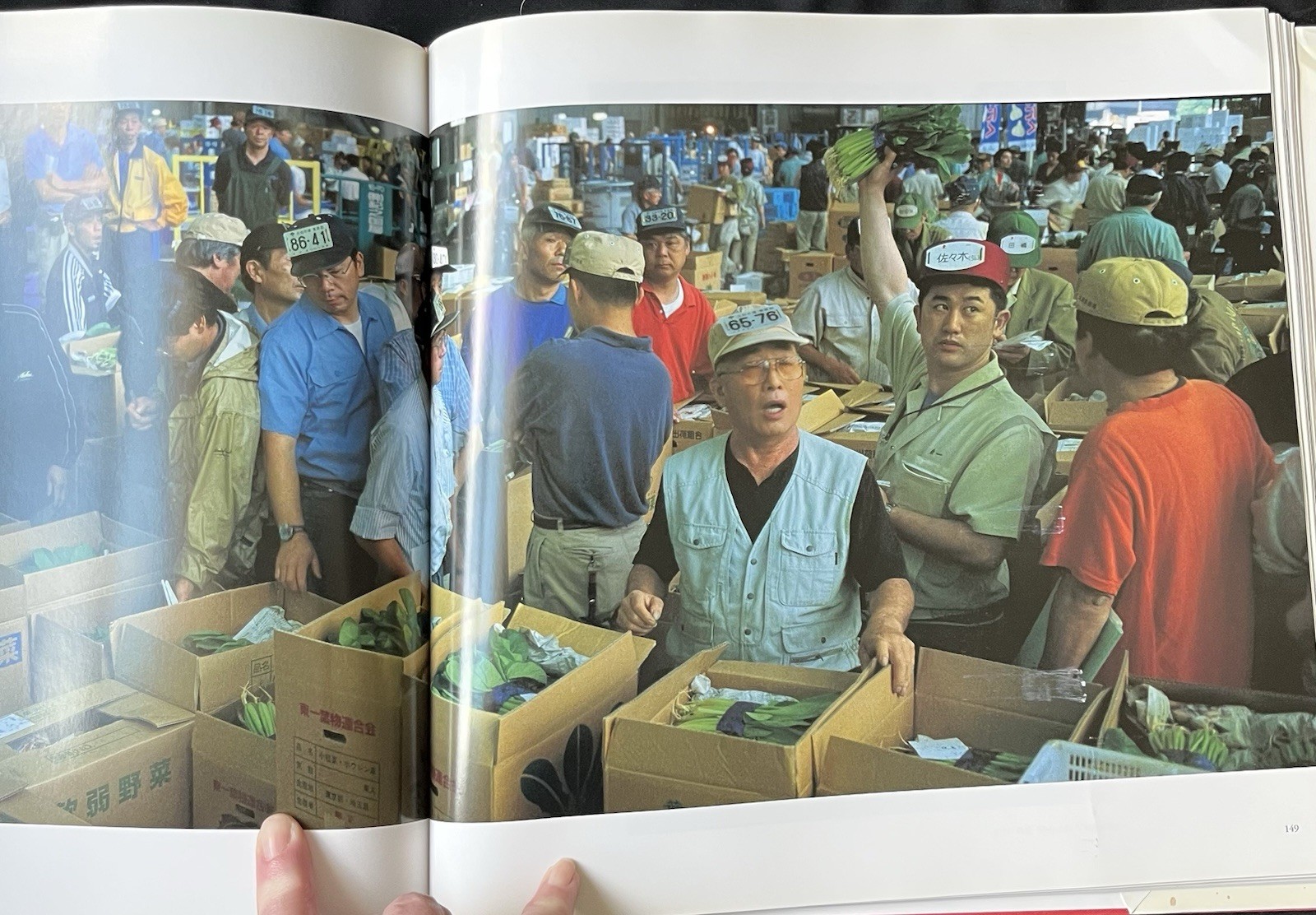 Japan by Hiroji Kubota—1st Print/2004—Hardcover/DJ—Coffeetable Picture Book—VG