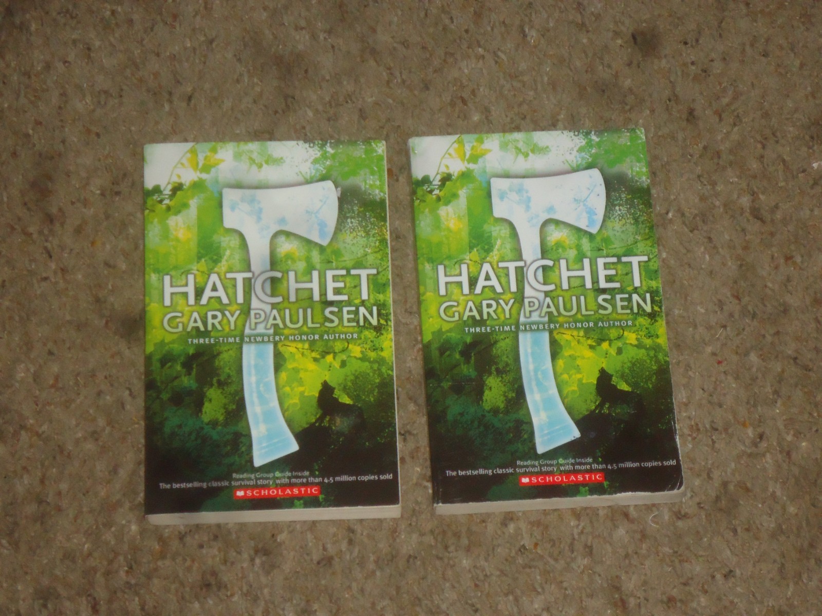 Lot 20 Hatchet Books Teacher Class Set Gary Paulsen Guided Reading