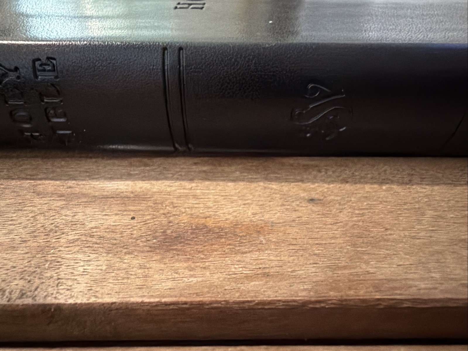 Vintage ESV Holy Bible (Black): English Standard Soft Leather Trutone Like New