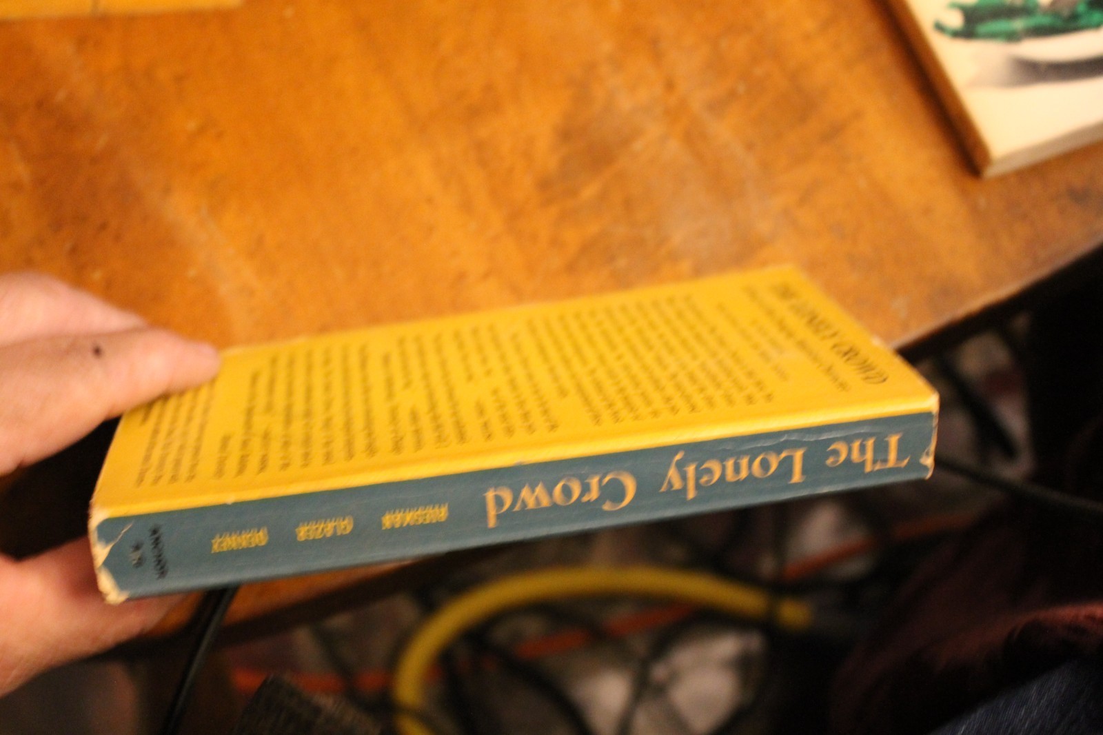 The Lonely Crowd ~ 1953 Anchor PB #A16