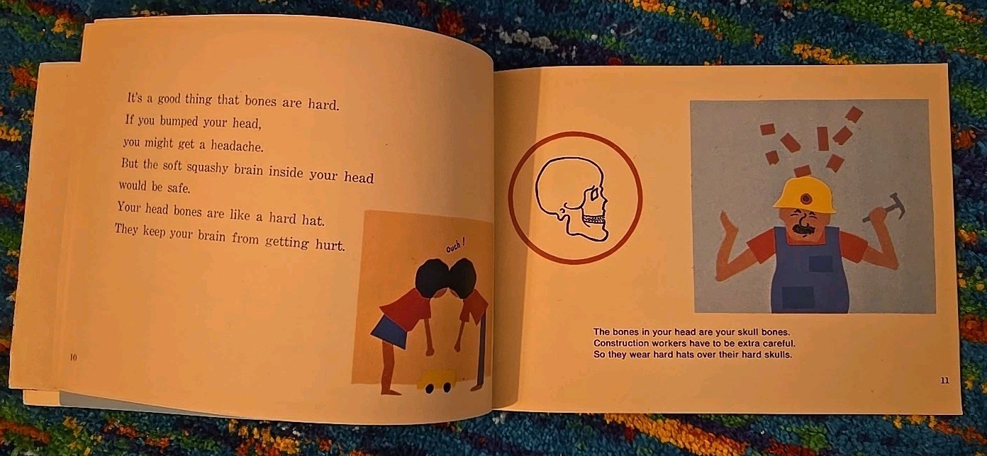 VTG 90s 80s 70s „Human Bodies“ Childrens Book Lot – Skeleton, Germs, Heart, Feel