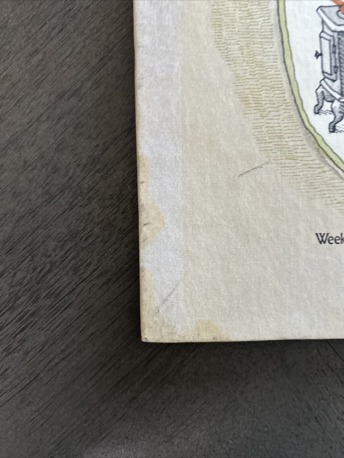 Rabbit Finds a Way by Judy Delton (1975, Hardcover)