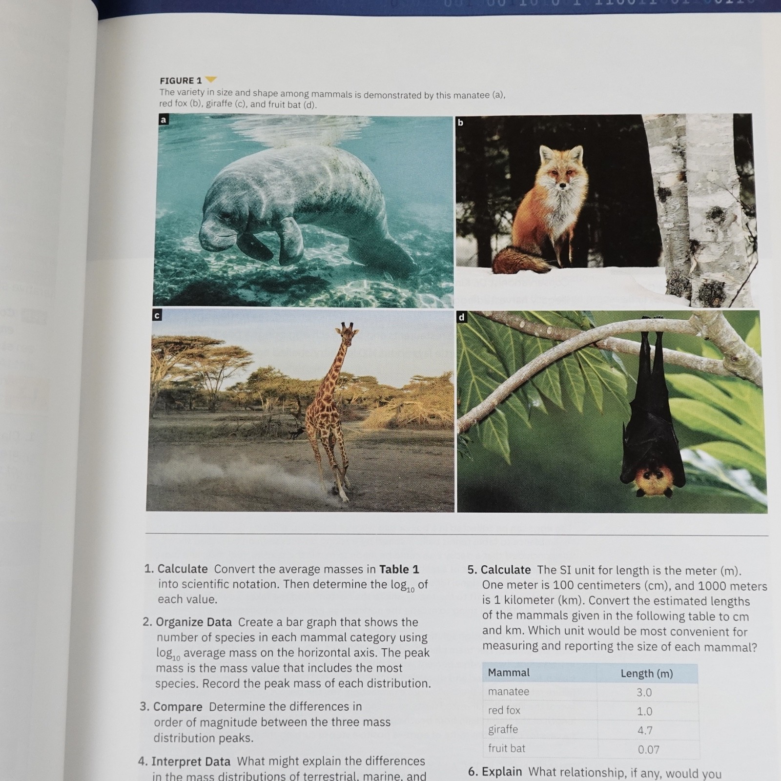 National Geographic Biology Student Edition Cengage 2024 Hardcover