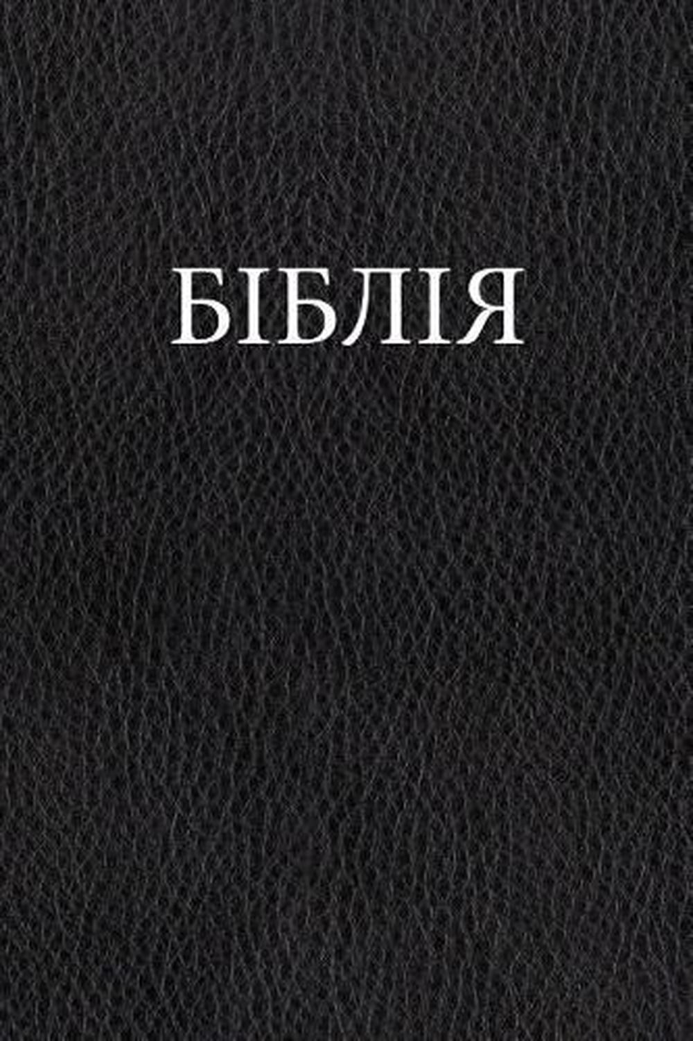 Ukrainian Bible by Oleksandr Romanovich Gyzha (Ukrainian) Paperback Book