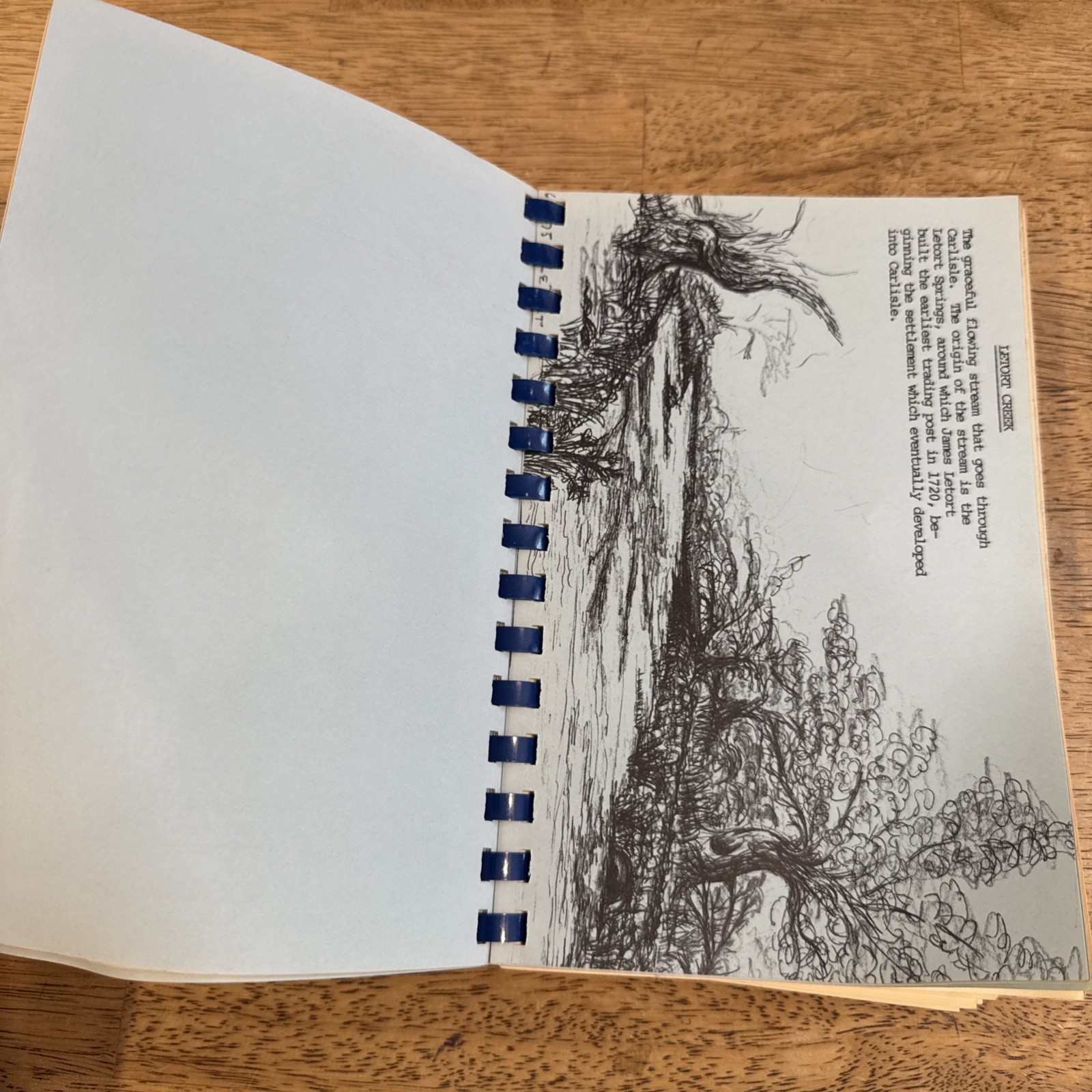 Carlisle Heritage ‘76 Cookbook A Bicentennial Collection 228 Pages Carlisle, PA