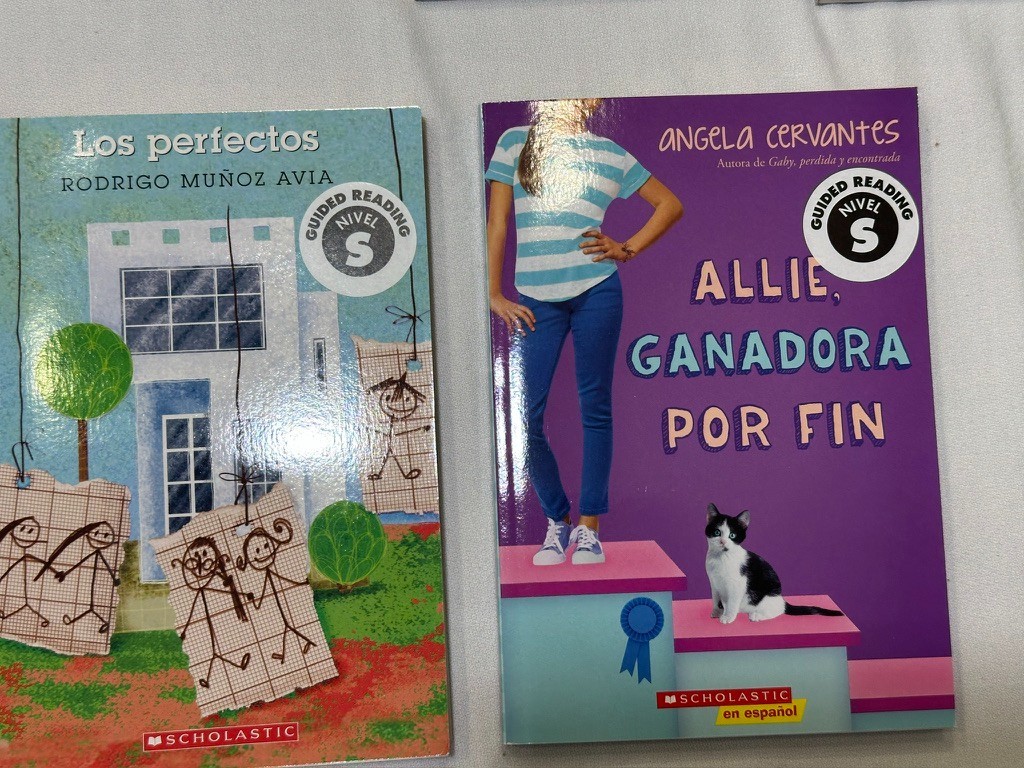 Scholastic 40 SPANISH Grade 4-6 Guided Reading Readers Books Level P, Q, R, S