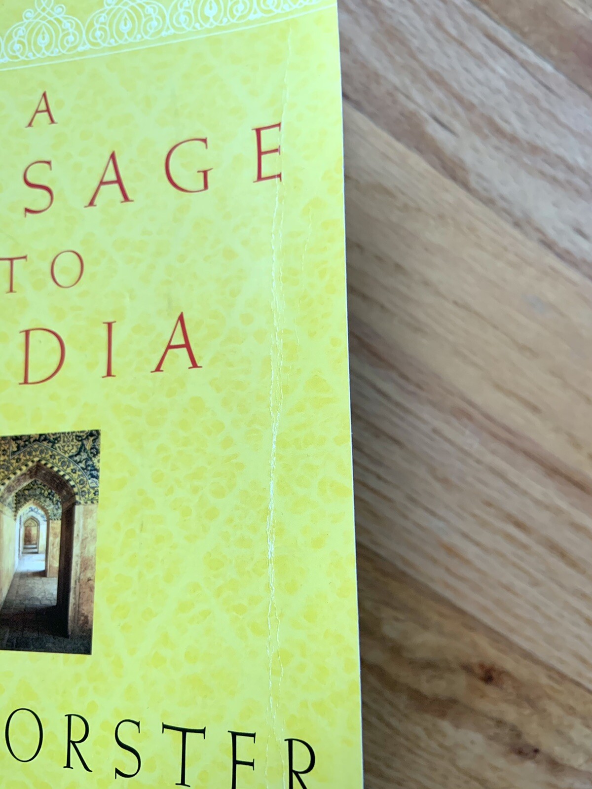 A Passage to India by E. M. Forster