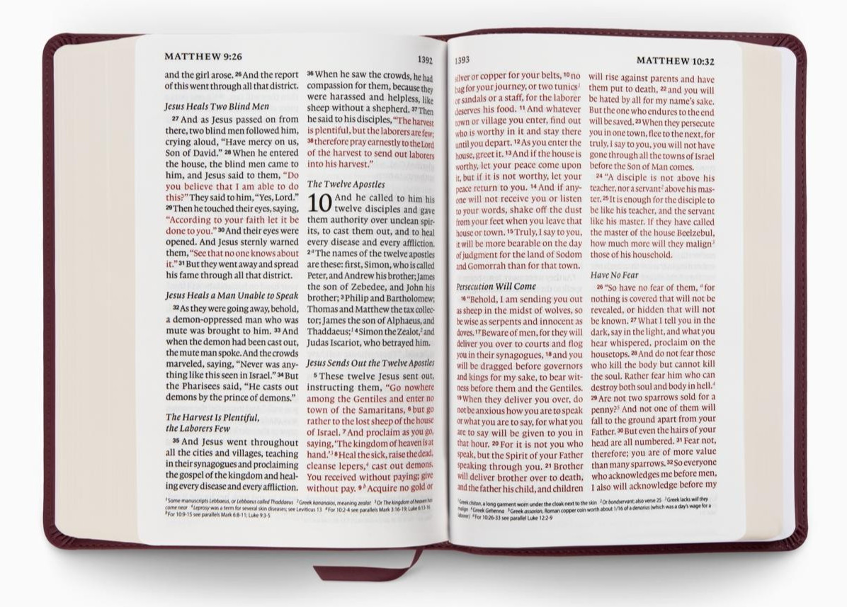 ESV Giant Print Personal Size Bible, Red Letter, TruTone, Mahogany