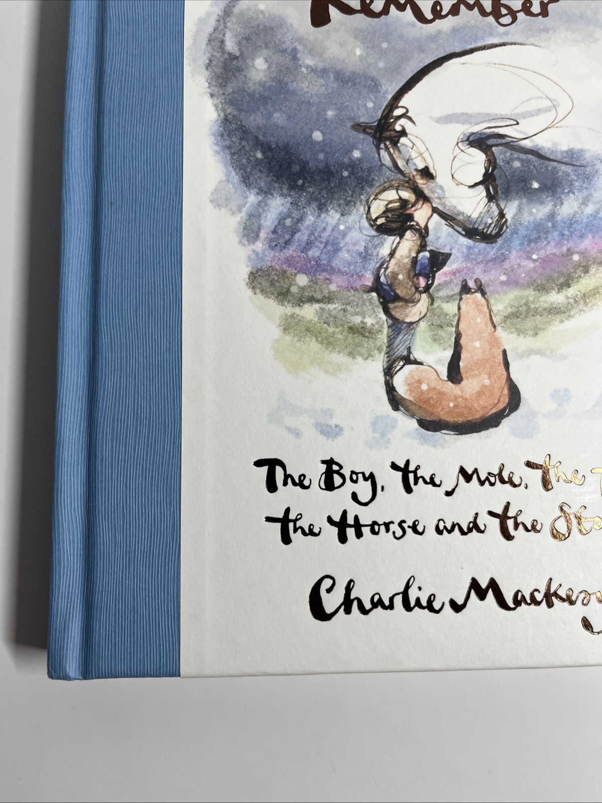 The Boy the Mole the Fox and the Horse & Always Remember by Charlie Mackesy