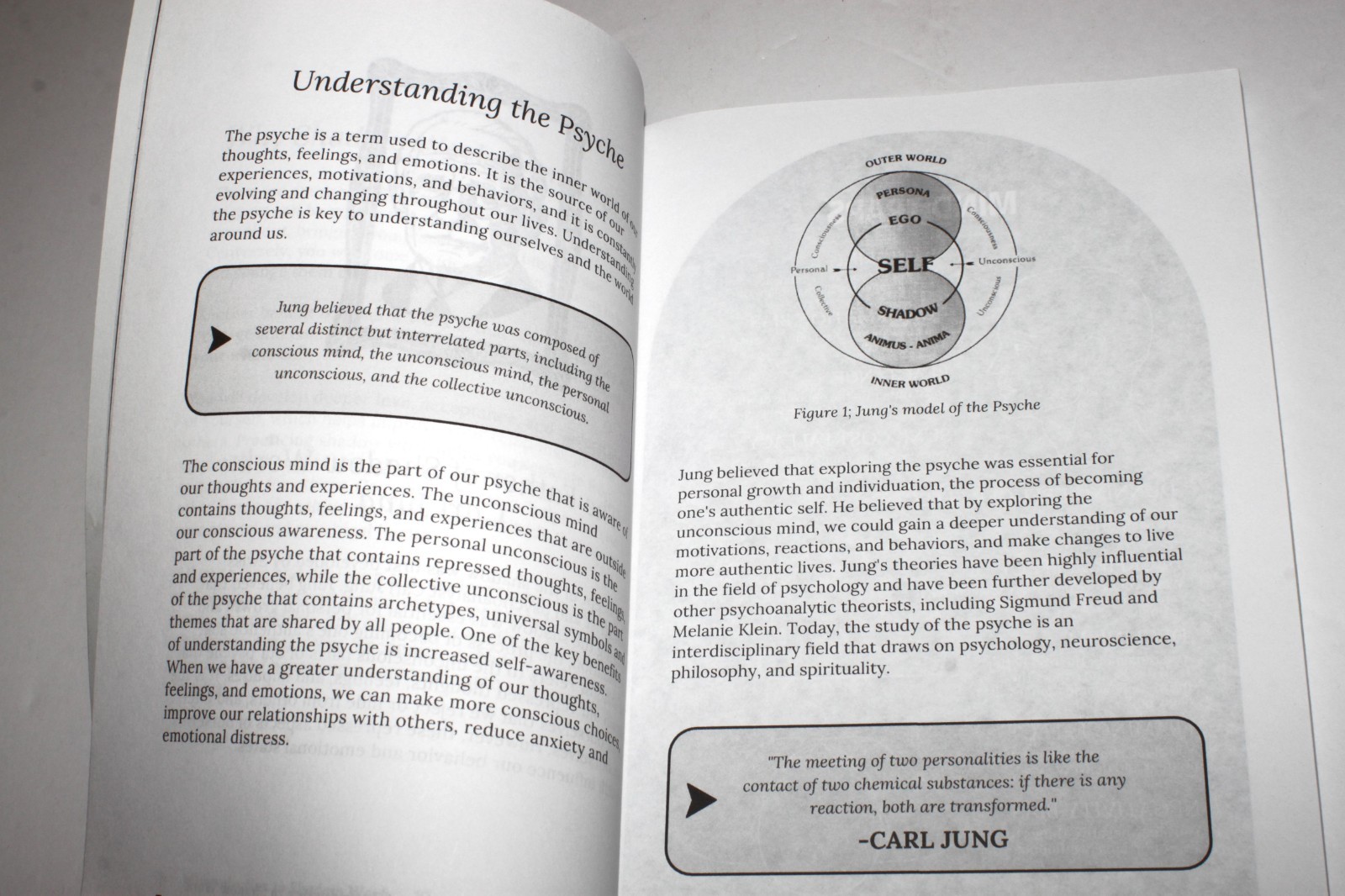 The Shadow Work Journal : a Guide to Integrate & Transcend Your Shadows (2023)