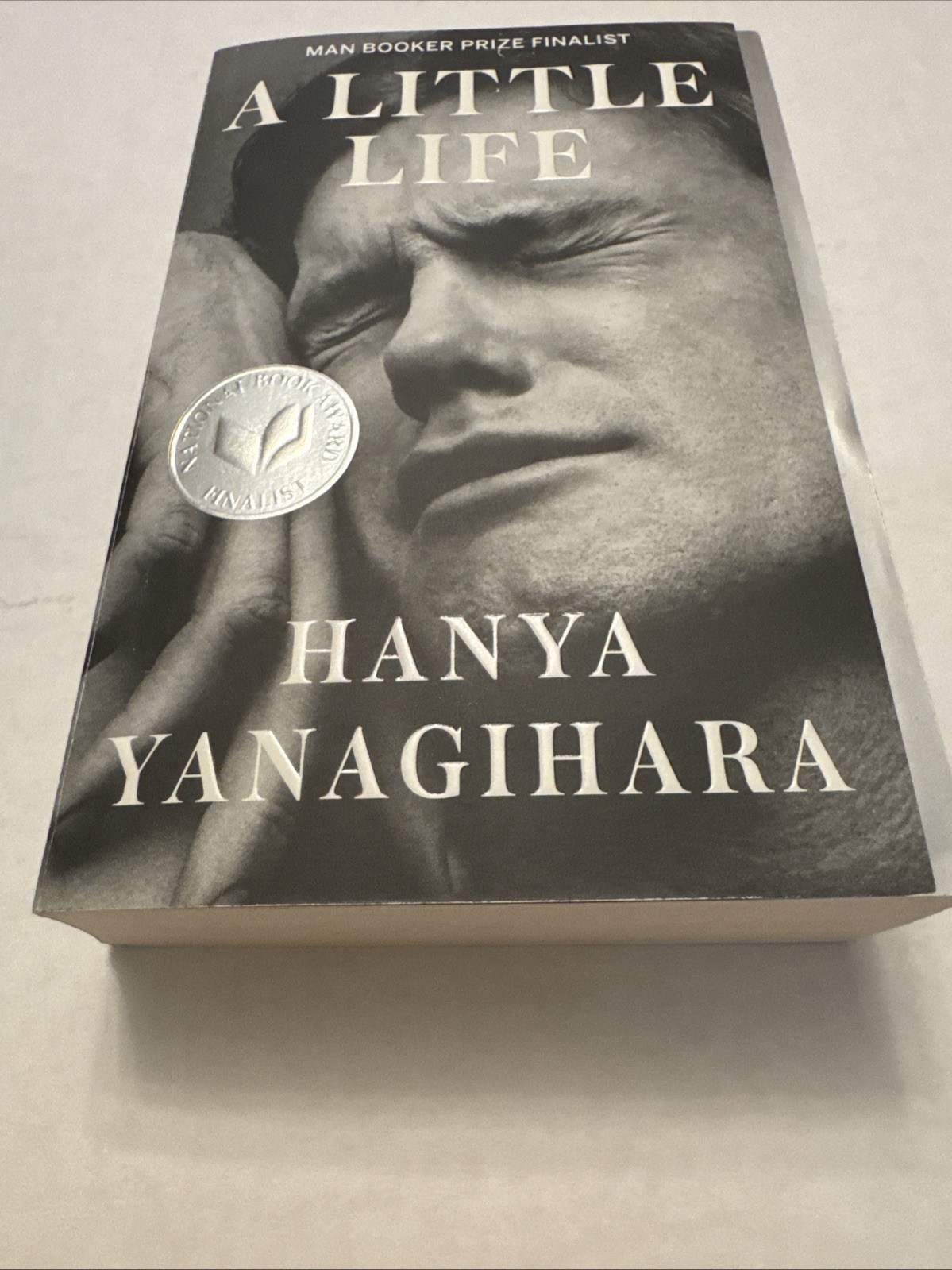 Little Life by Hanya Yanagihara (2016, Trade Paperback)