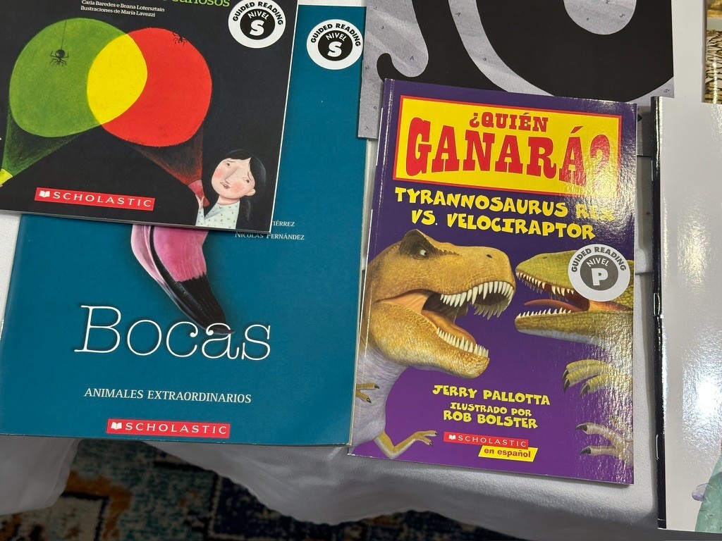 Scholastic 40 SPANISH Grade 4-6 Guided Reading Readers Books Level P, Q, R, S