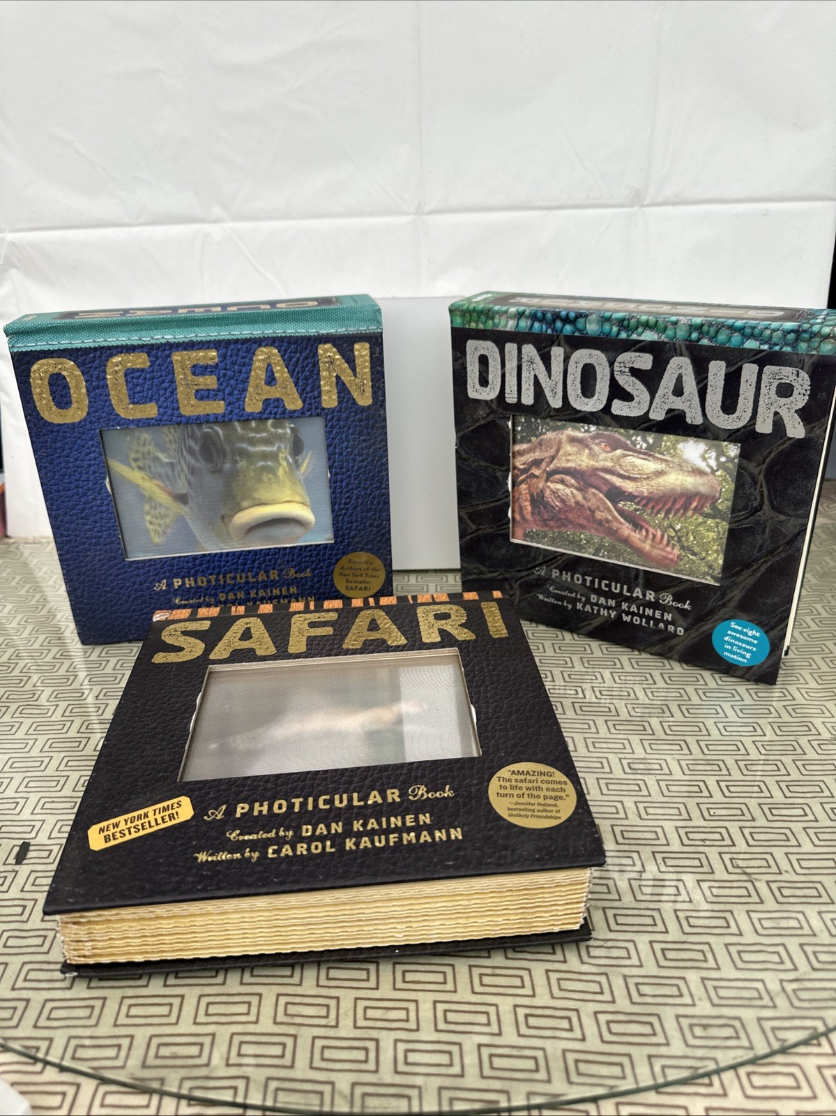 A Photicular Book by Carol Kaufmann and Dan Kainen (2012, Hardcover) Safari2 Mor