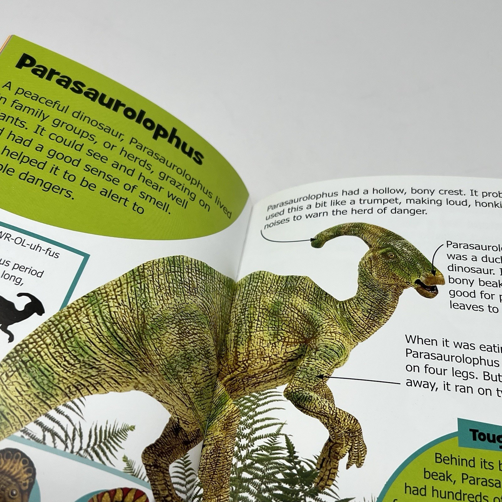 Children’s Mini Encyclopedia Lot of 2 Weather Dino’s New
