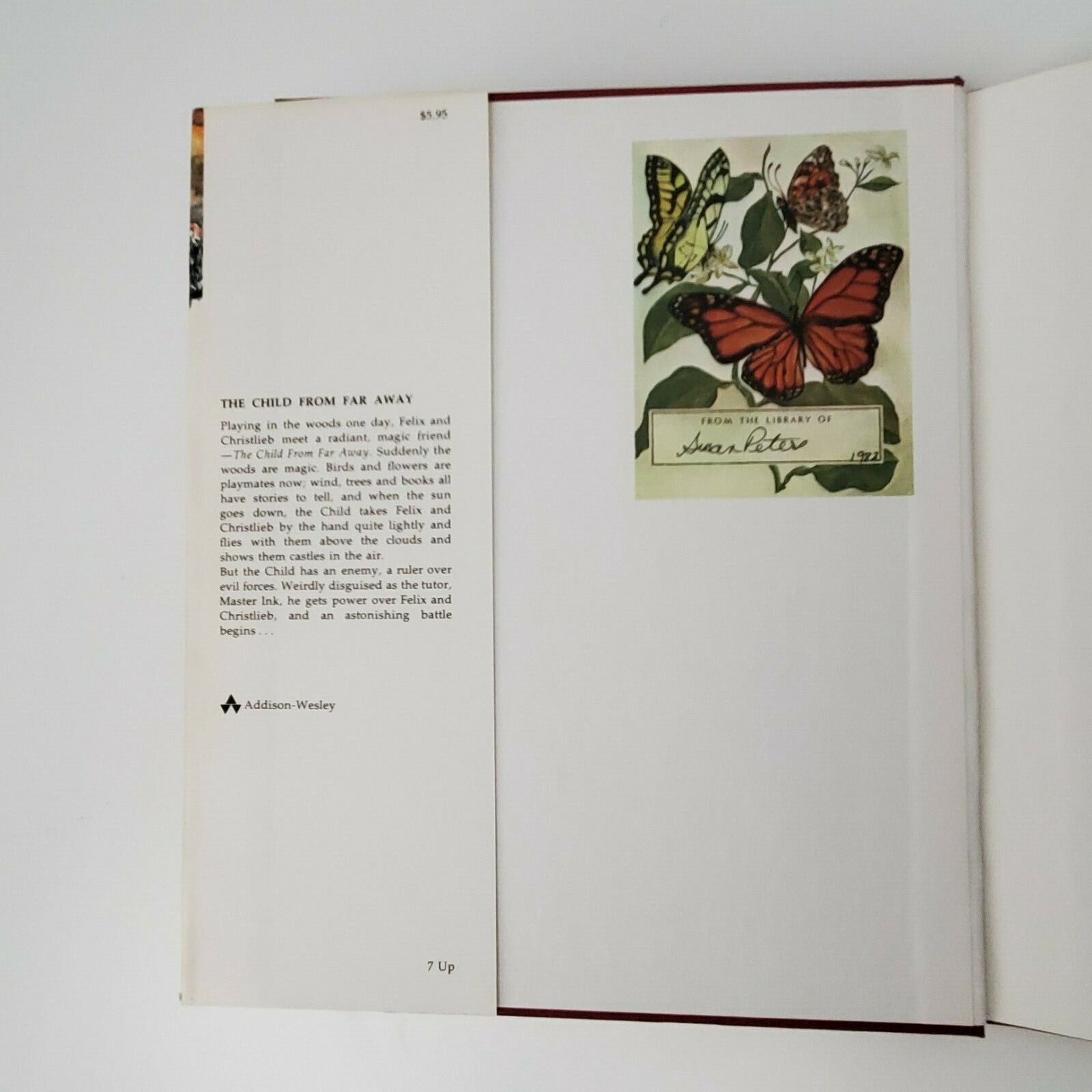 E.T.A. Hoffman The Child From Far Away Children’s Picture Book 1st Edition Vtg