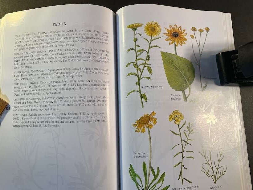 A Field Guide to the Grand Canyon by Whitney. 2nd edition. 269 pages. good cond.