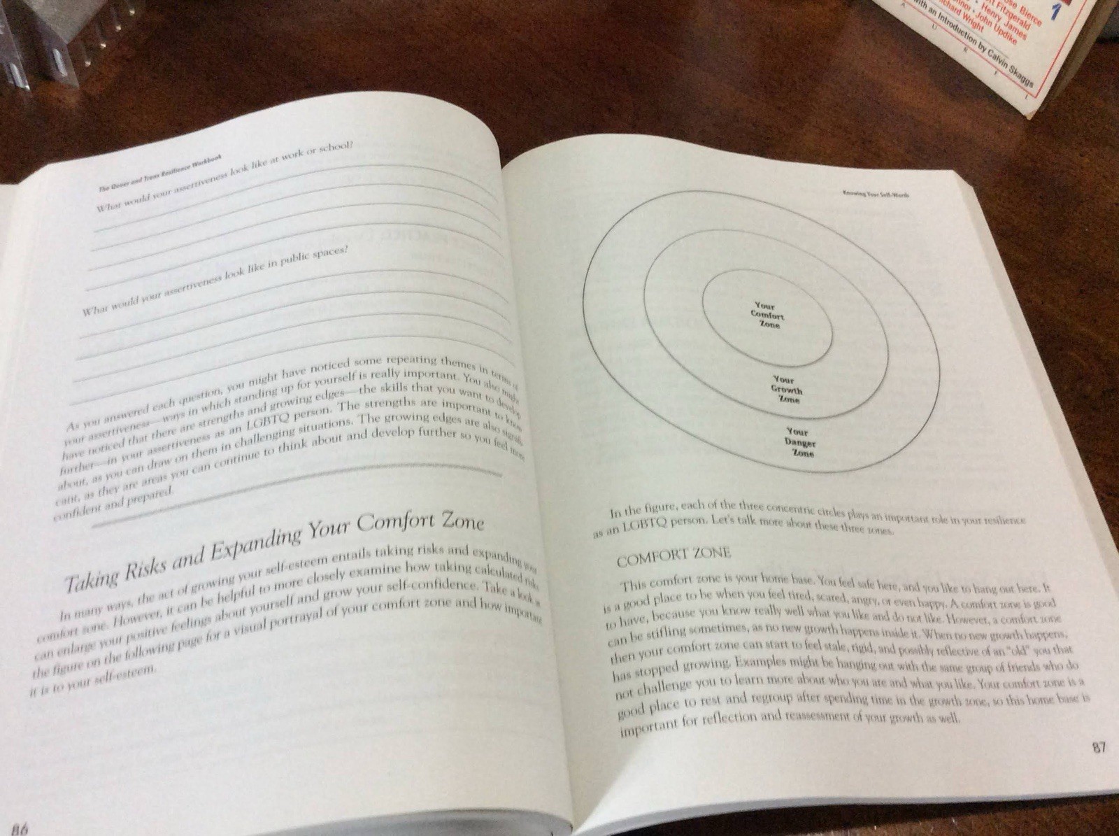 The Queer and Transgender Resilience Workbook: Skills for Navigating Sexual Orie