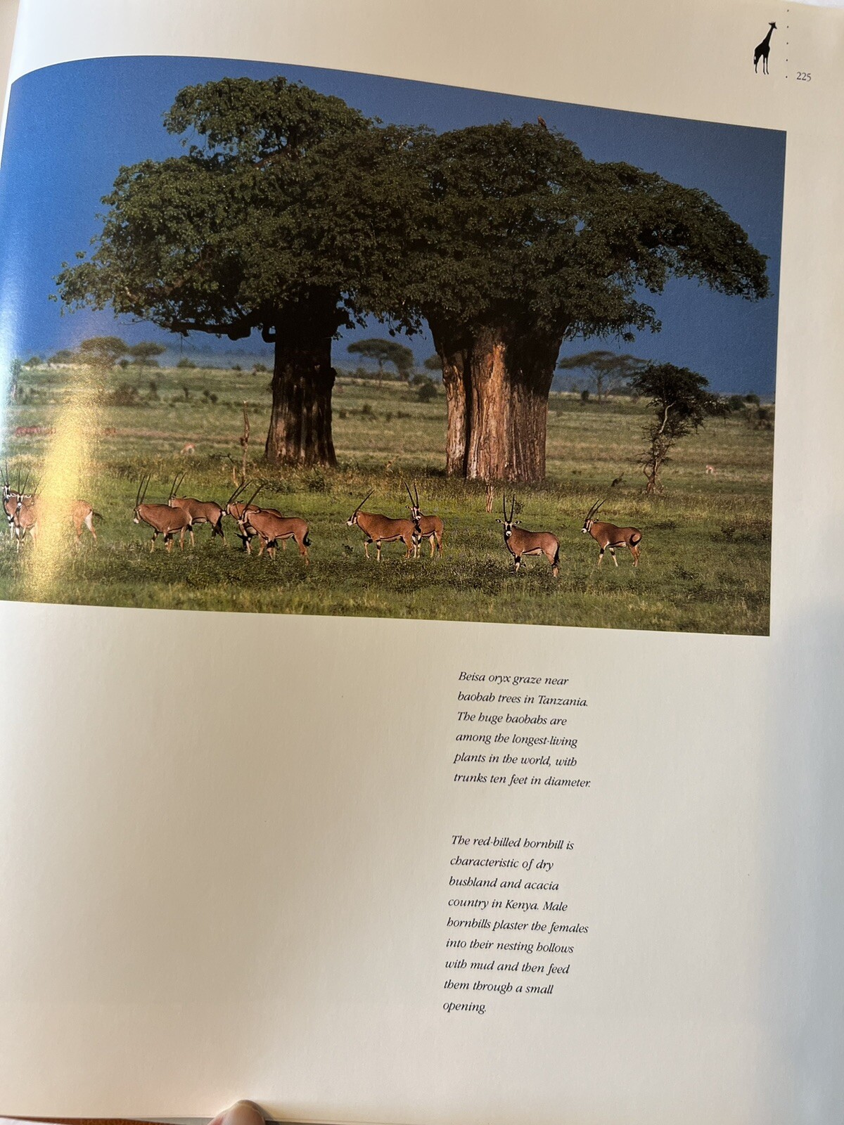 Rare -Special Edition 390/1000: Images of Nature – Signed by Thomas D. Mangelsen