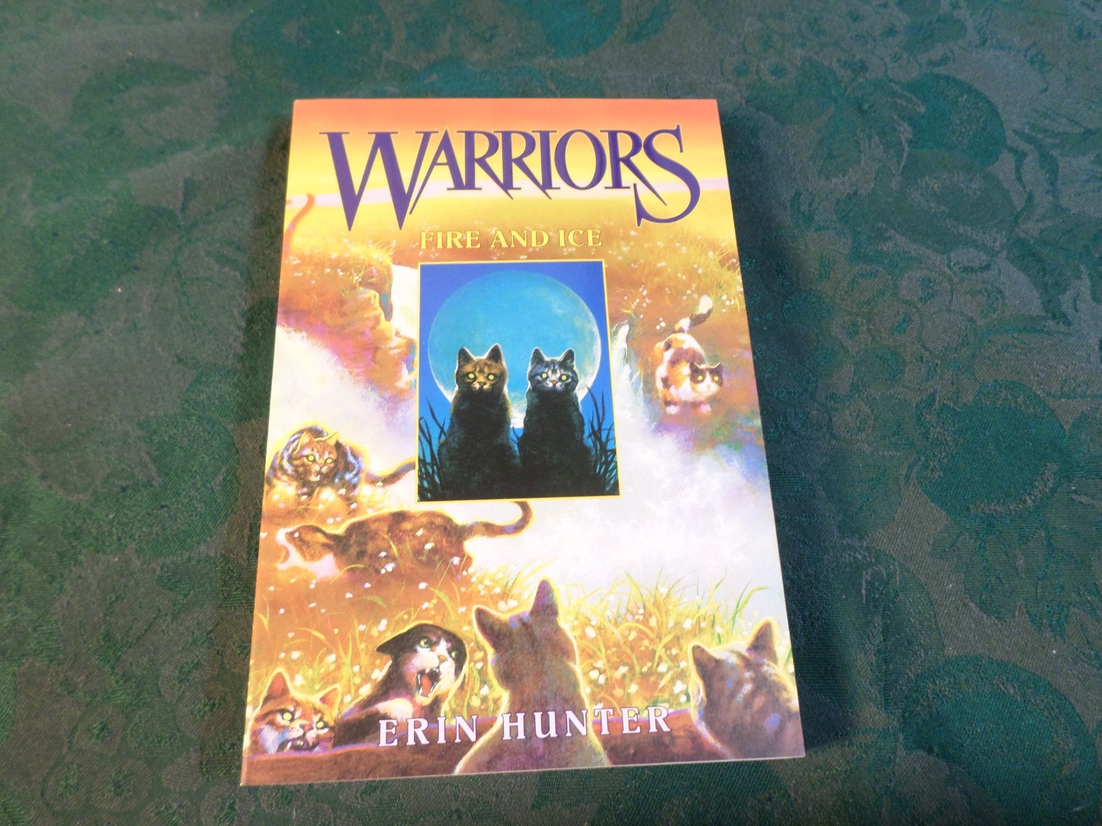 2004-3 Vol. Paperback Book Box Set-Warriors-Erin Hunter