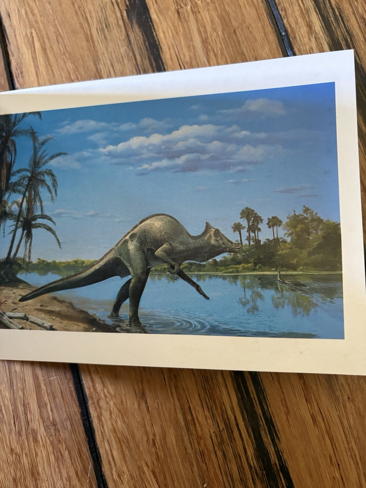The Dinosaurs Postcard Book by Running Press. Complete With 30 Postcards. Rare!