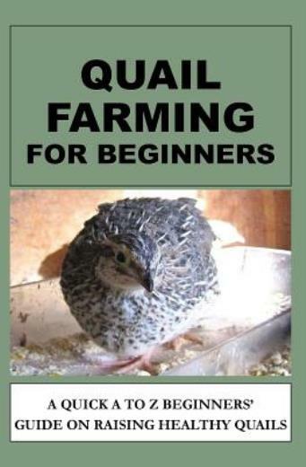 Quail Farming For Beginners: A Quick A To Z Beginners‘ Guide On Raising Hea…