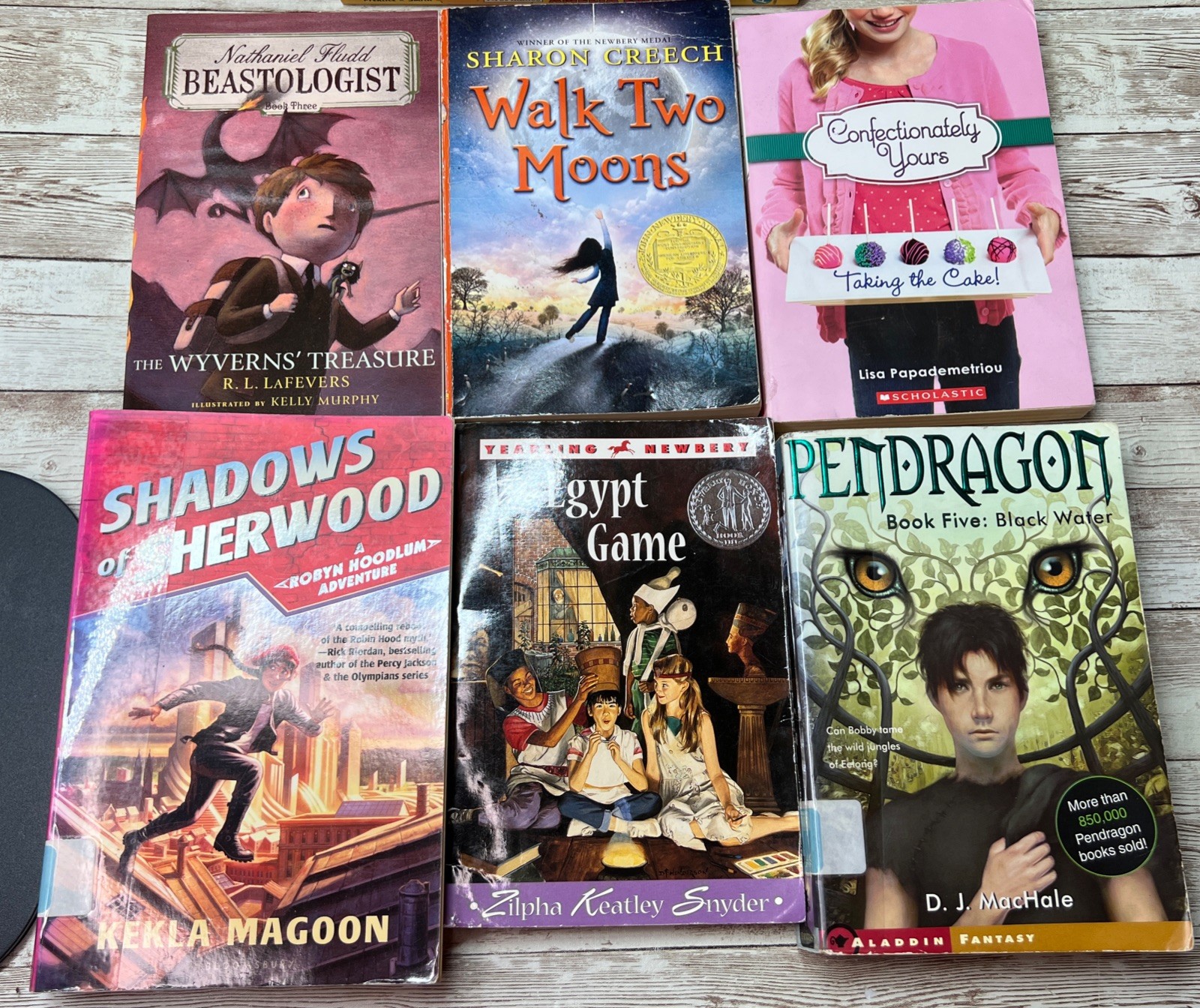 Lot of 39 Grade 3-6 Chapter Books Novels 15lbs / G. Stilton, Beverly Cleary etc.
