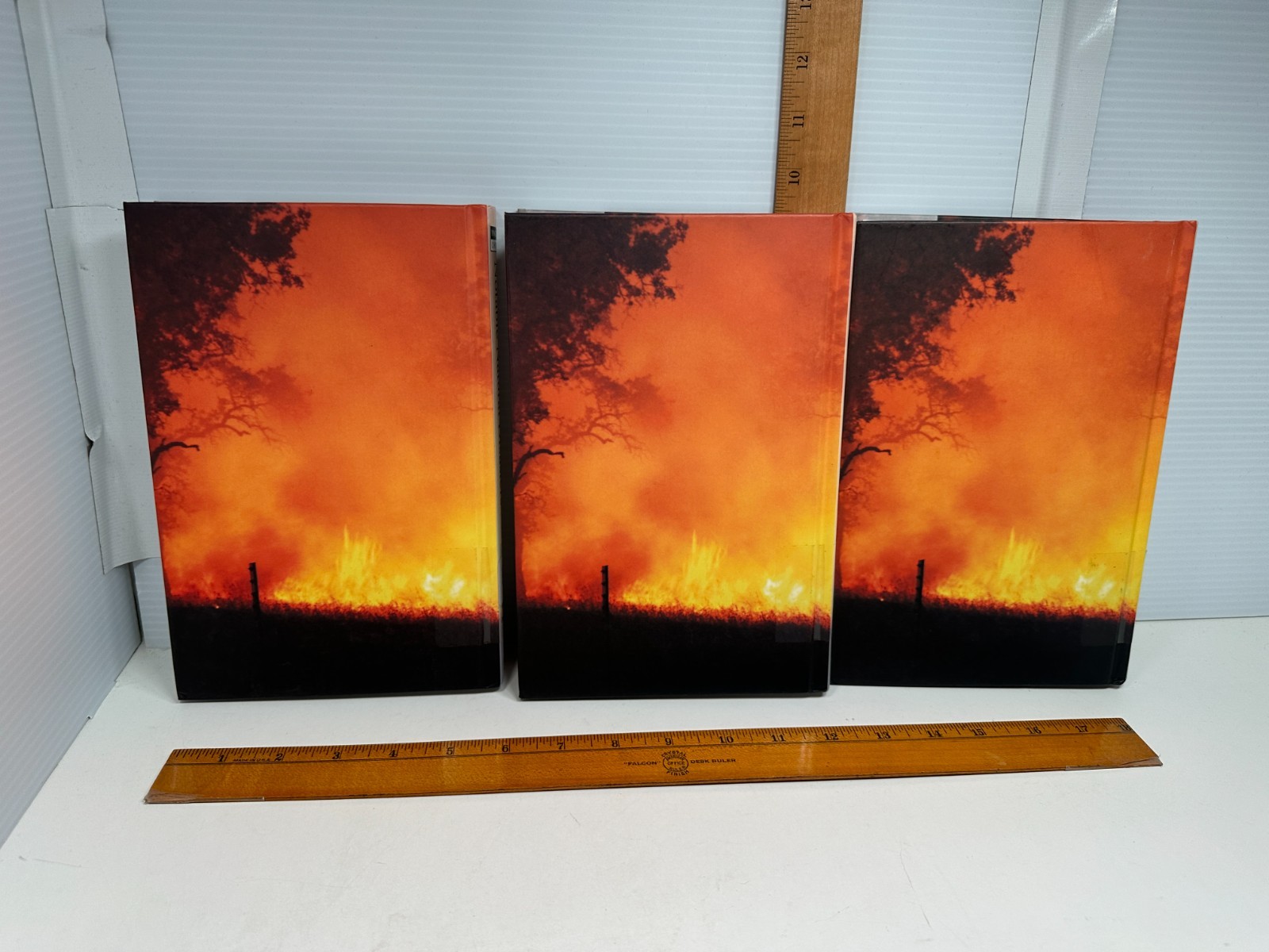 Notable Natural Disasters , Magill’s Choice 3 Volume Set Homeschool Reference