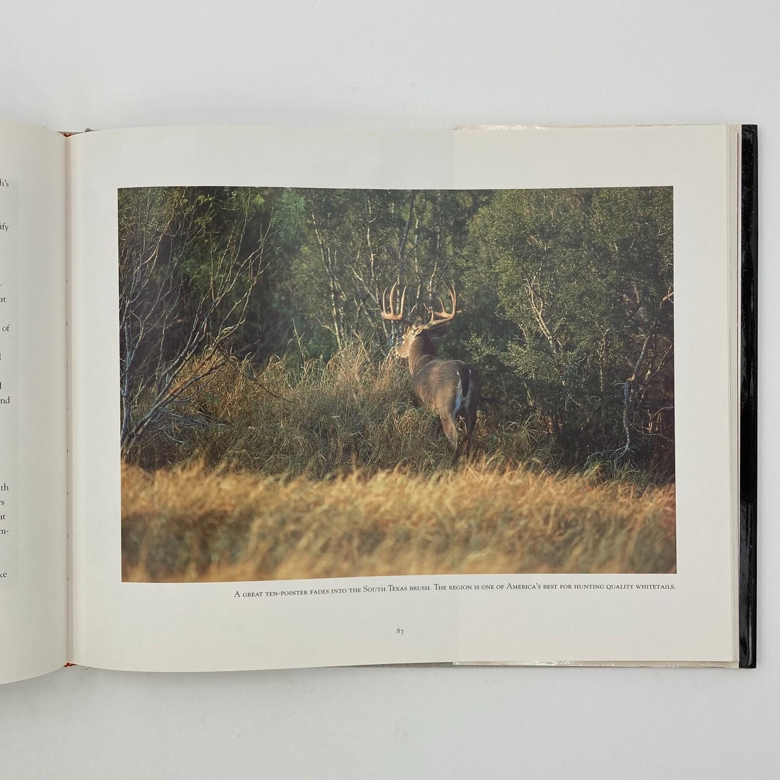 Texas Seasons by Wyman Meinzer and Ray Sasser (1999, Hardback) VGC 175 pages