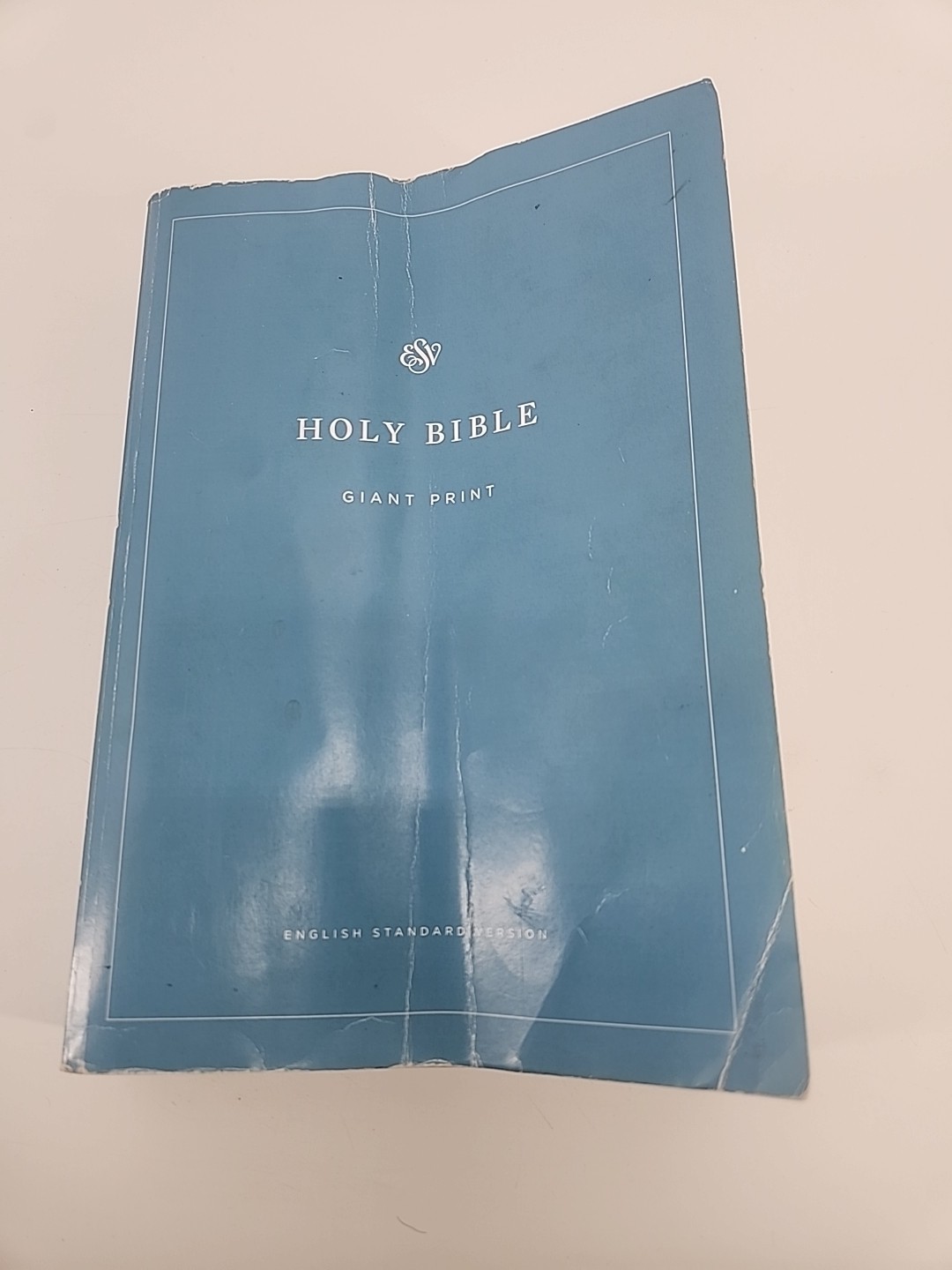 ESV Economy Bible, Giant Print by ESV Bibles