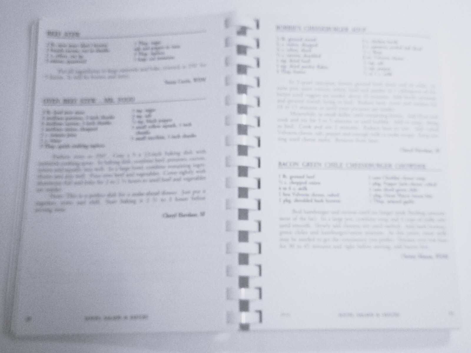 2010 Tasteful Treasures Cookbook Holmes Murphy and Associates 242 pages