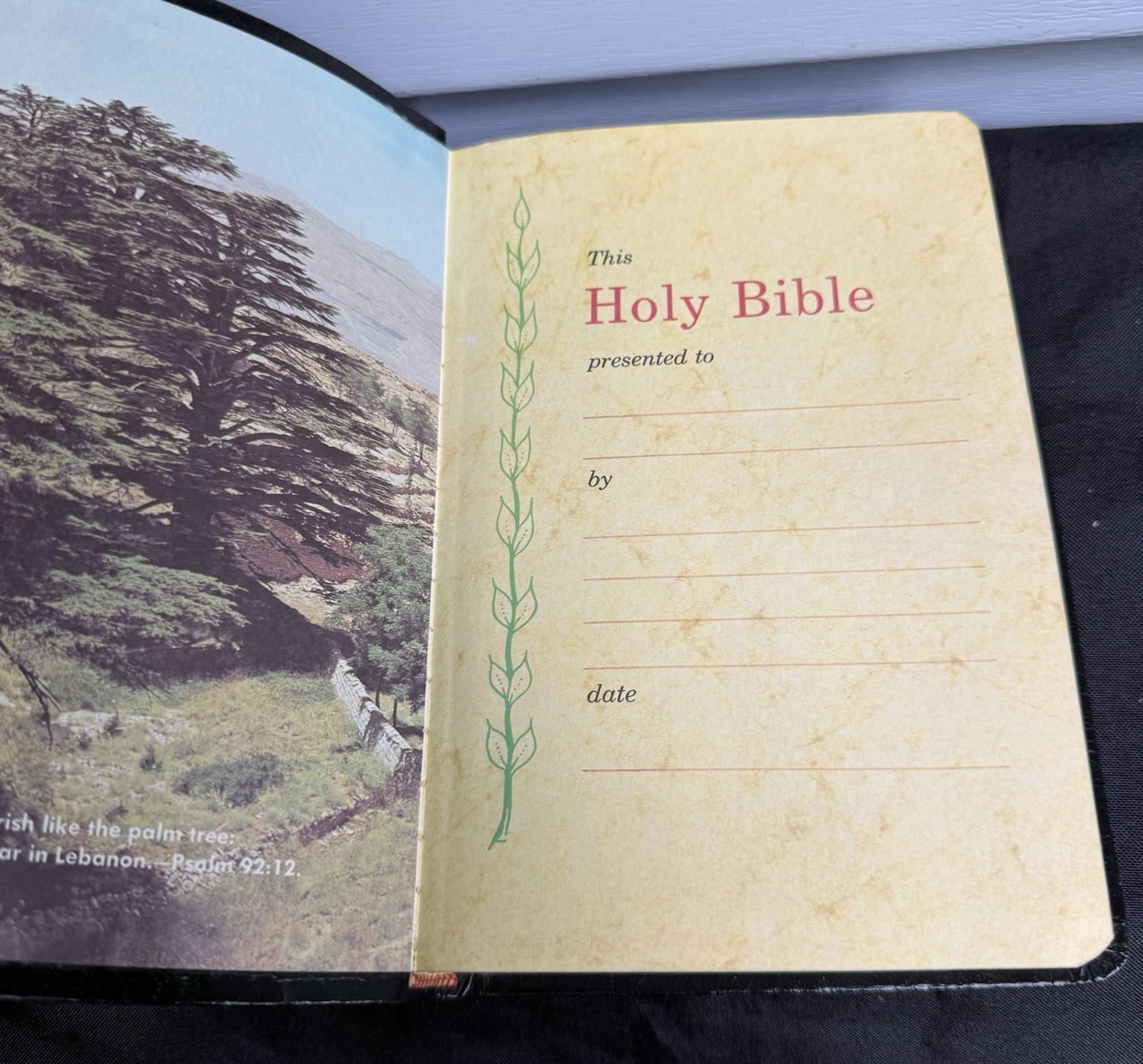 Holy Bible-King James Version 1972 Thomas Nelson Publication-Leather Bound-MINT!