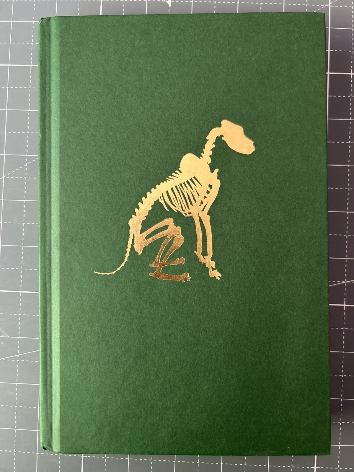 Nettle and Bone – T. Kingfisher 1st Edition 1st Print – FINE