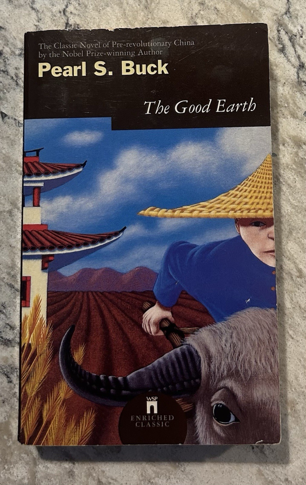 The Good Earth by Pearl S Buck (1994, Paperback) Ox Cover Vintage Classic – GOOD