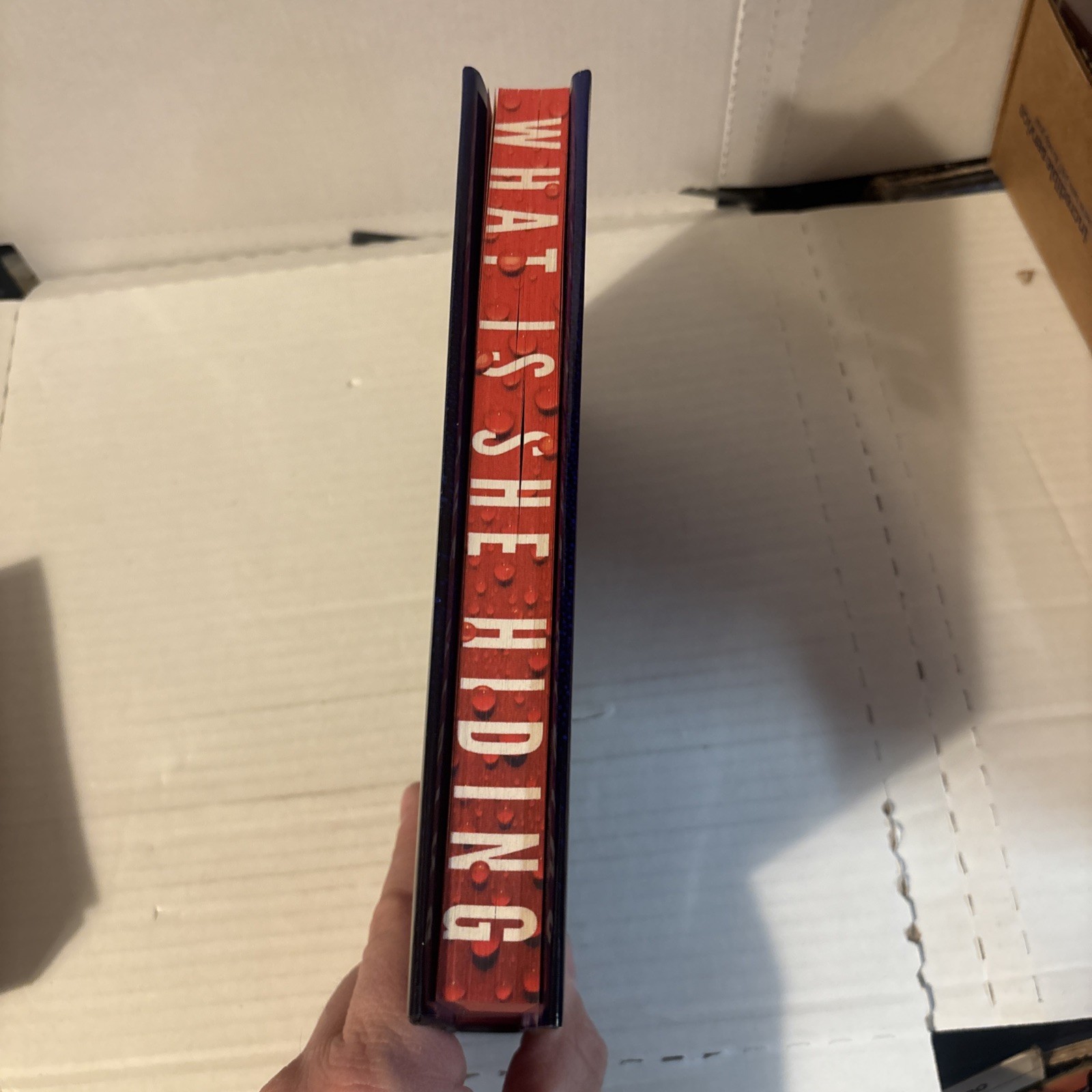The Intruder By Freida McFadden Hardcover Sprayed Edges 2025