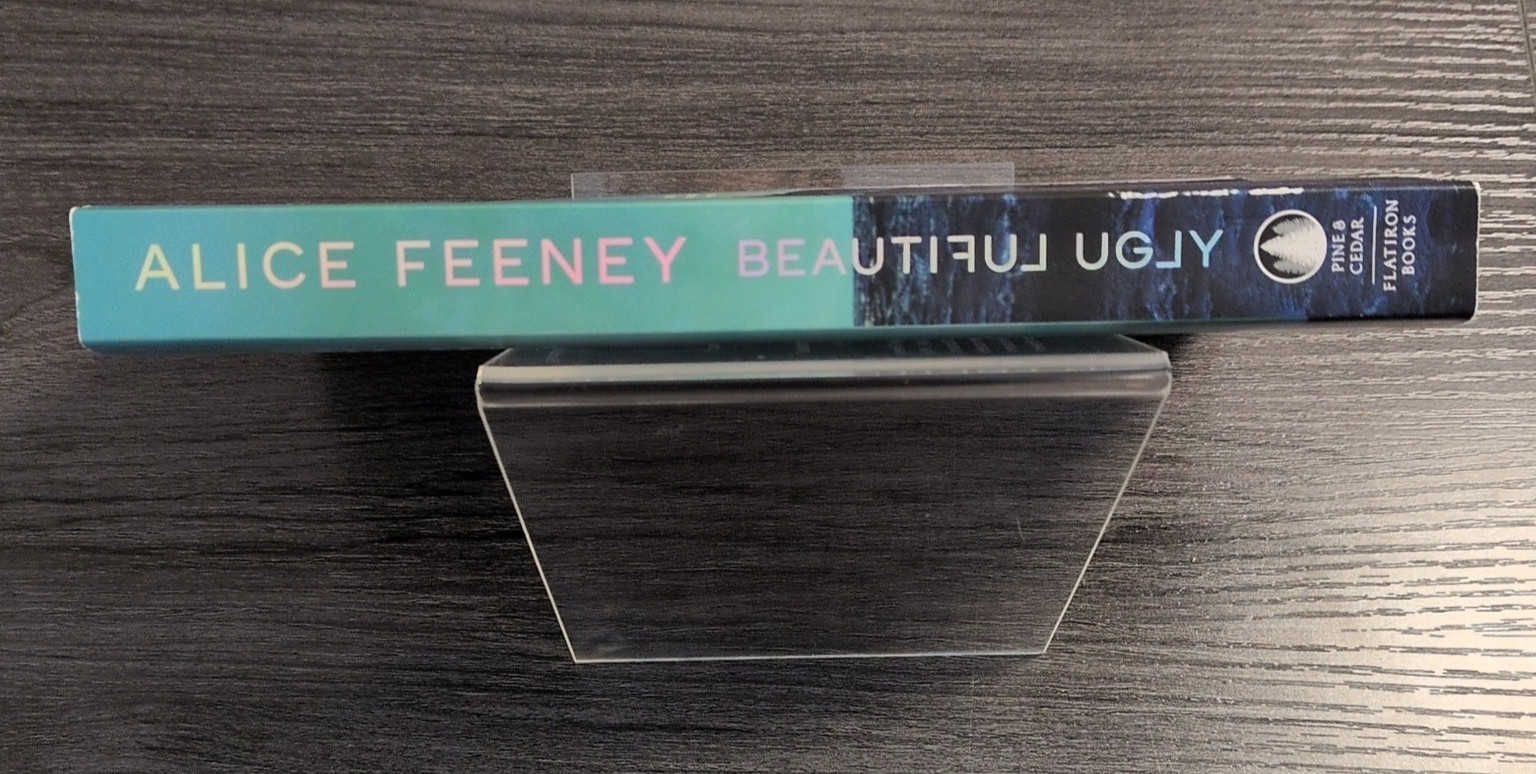 Beautiful Ugly a novel by Alice Feeney Paperback Dark Thriller