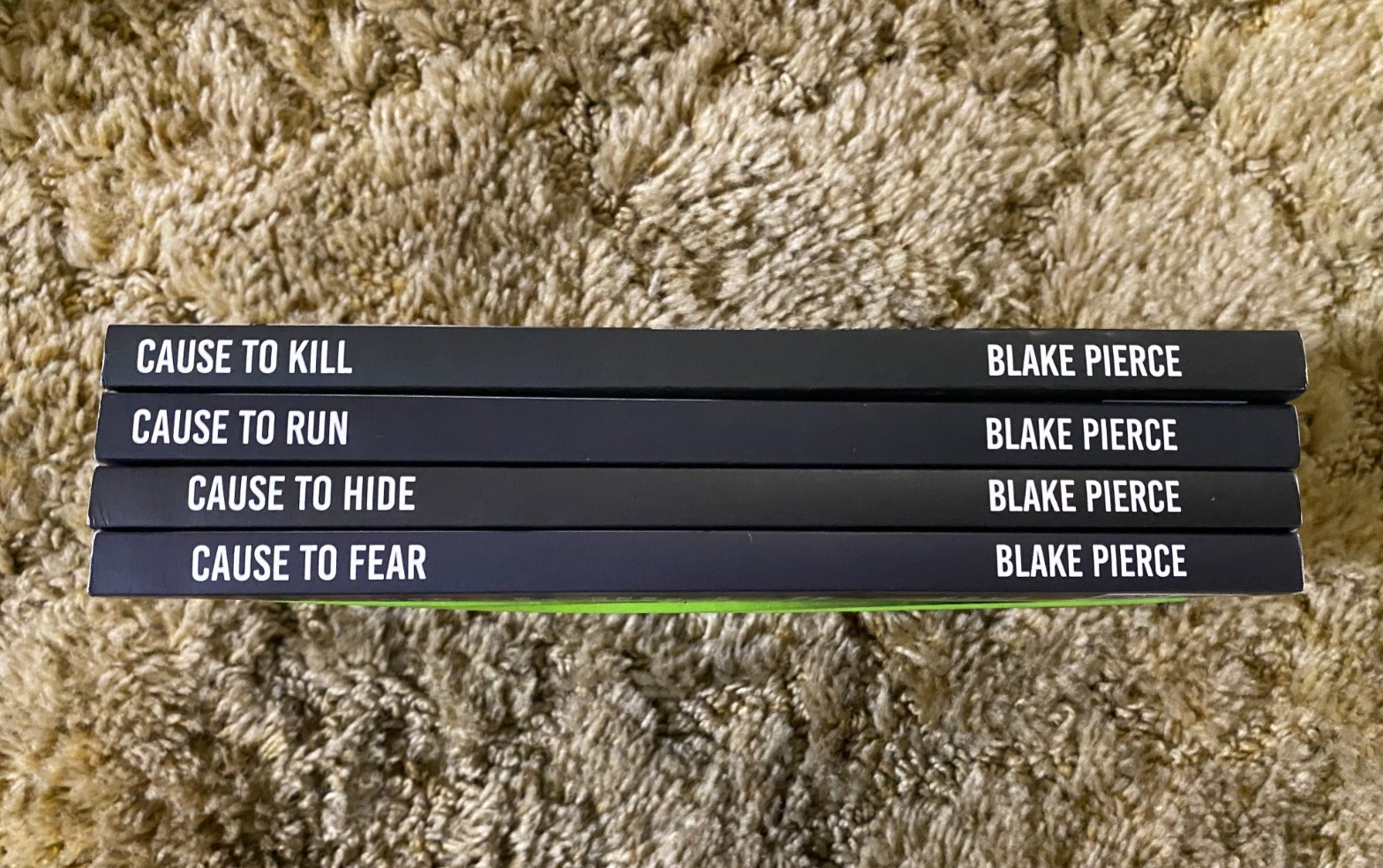 21 PB BOOK LOT BLAKE PIERCE 16 JESSE HUNT 4 AVERY BLACK 1 RILEY PAIGE