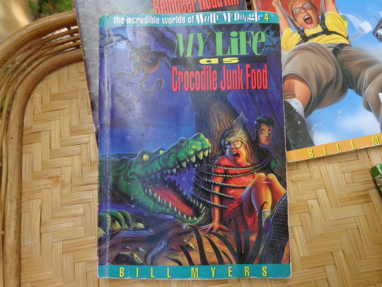 Wally McDoogle My Life As A BP Book Lot 5 by Bill Myers Skydiver Torpedo Hockey