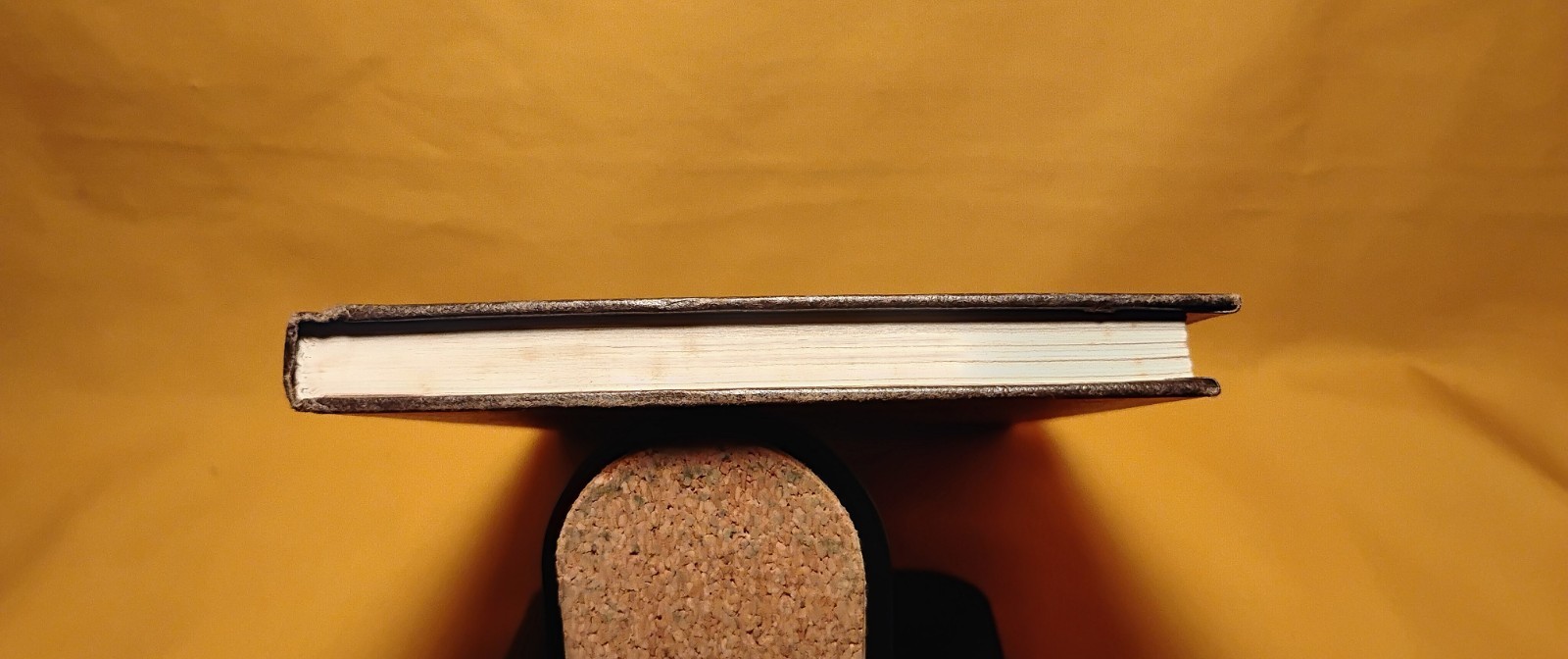 the Stone Door Leonora Carrington St. Martin’s Press 1977 HCDJ 1st U.S. edition