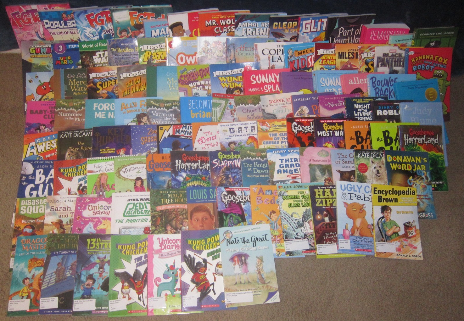100 AR Accelerated Reader Titles – Reading Levels 2.1 – 4.2 Labeled & Ready!