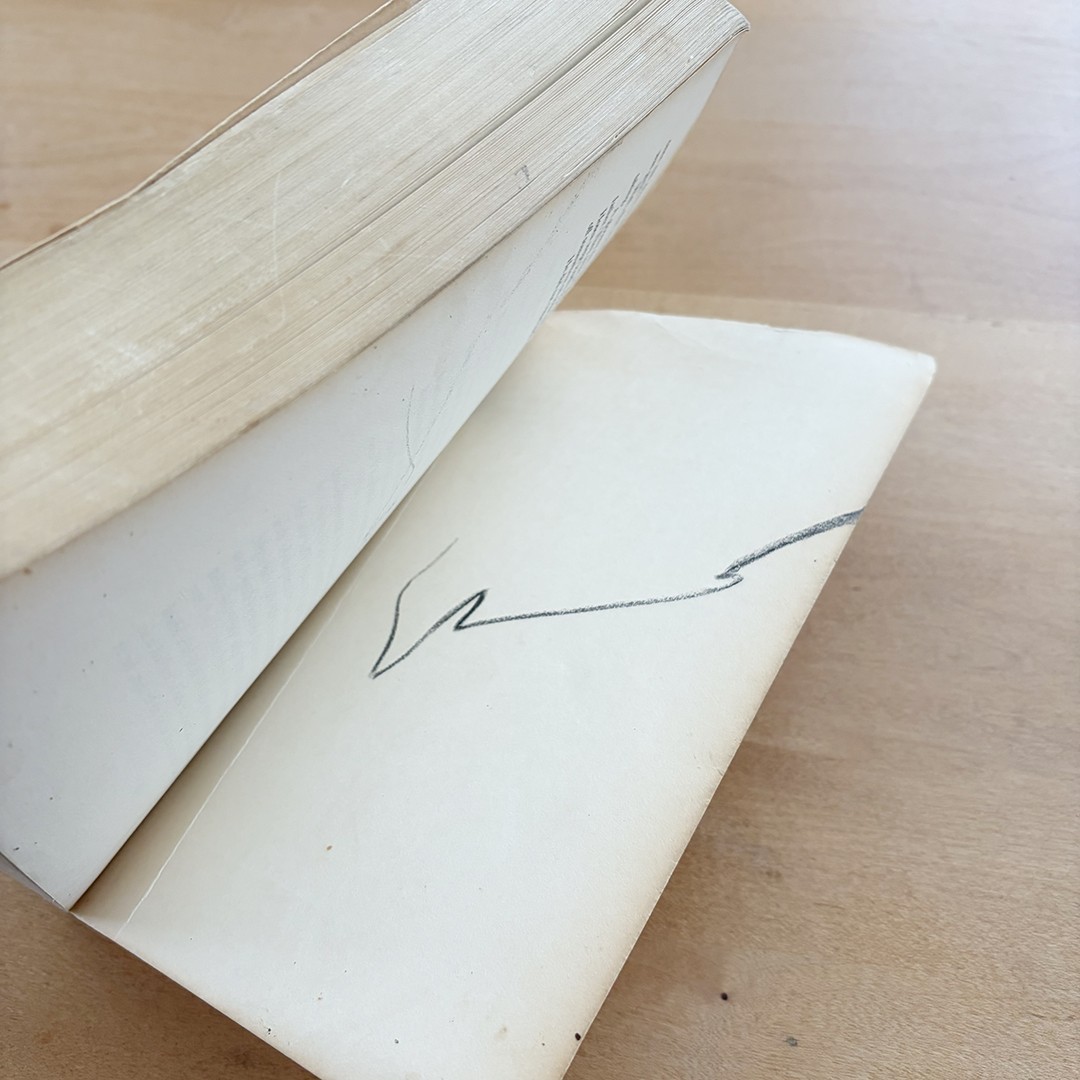 Knut Hamsun: Wayfarers, Farrar Straus Giroux, 2nd Edition PB, N648, US, 1981